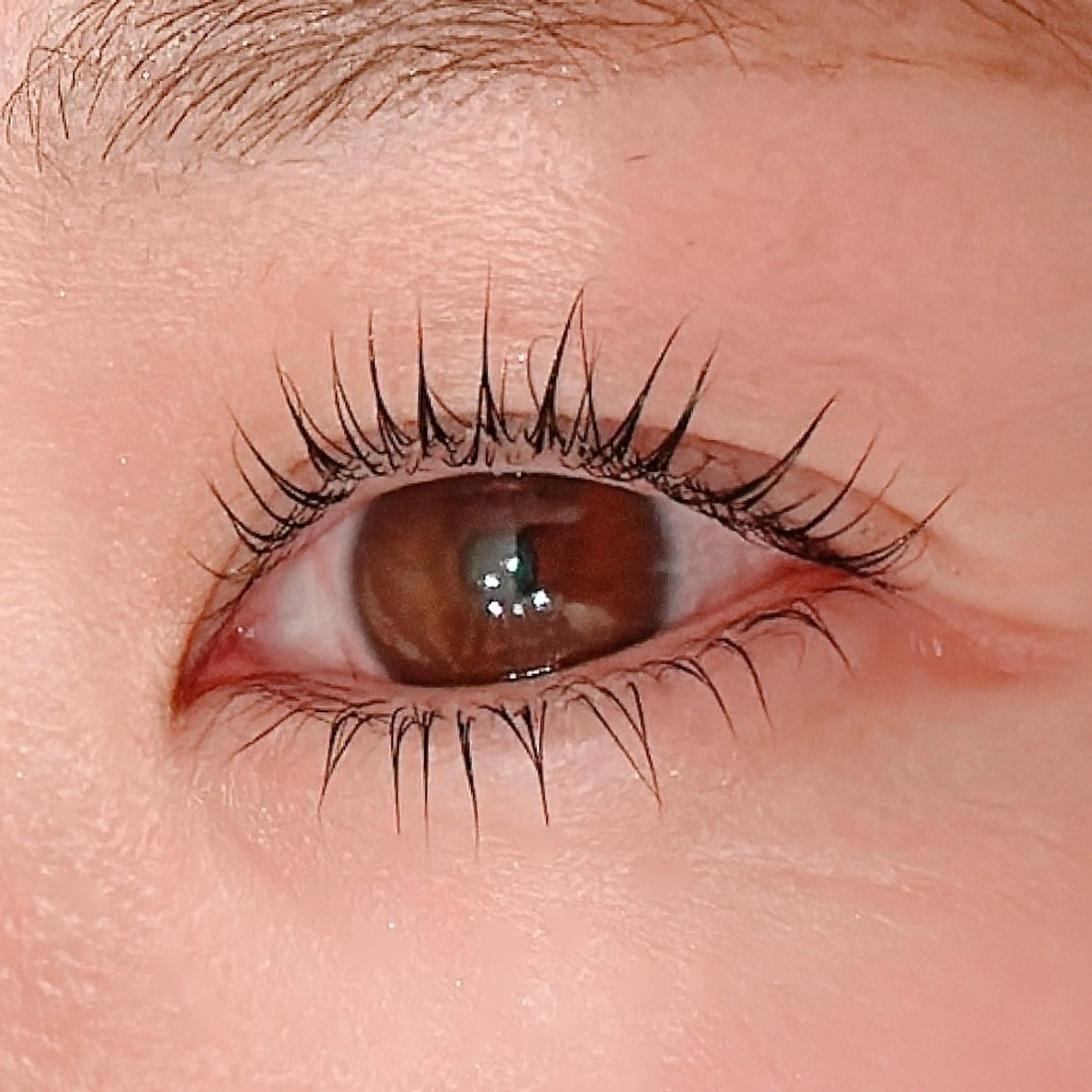 マツエク・マツパ eyelash salon winkerbell所属・Winkerbell 桃子のマツエク・マツパデザイン