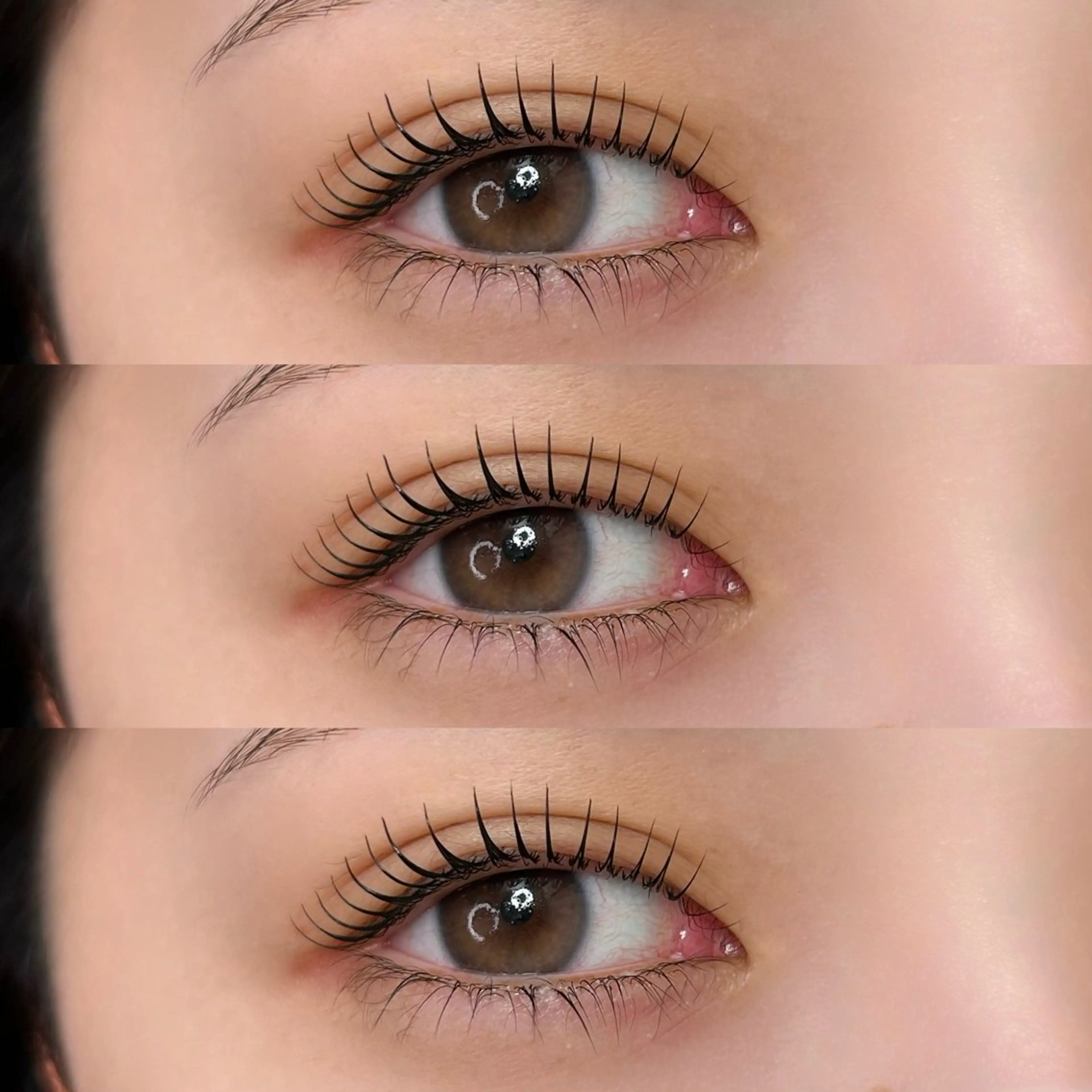 💎【ダメージ軽減トリートメント+まつ毛シャンプー付きラッシュリフト】+コーティング仕上げ付き🫧の写真