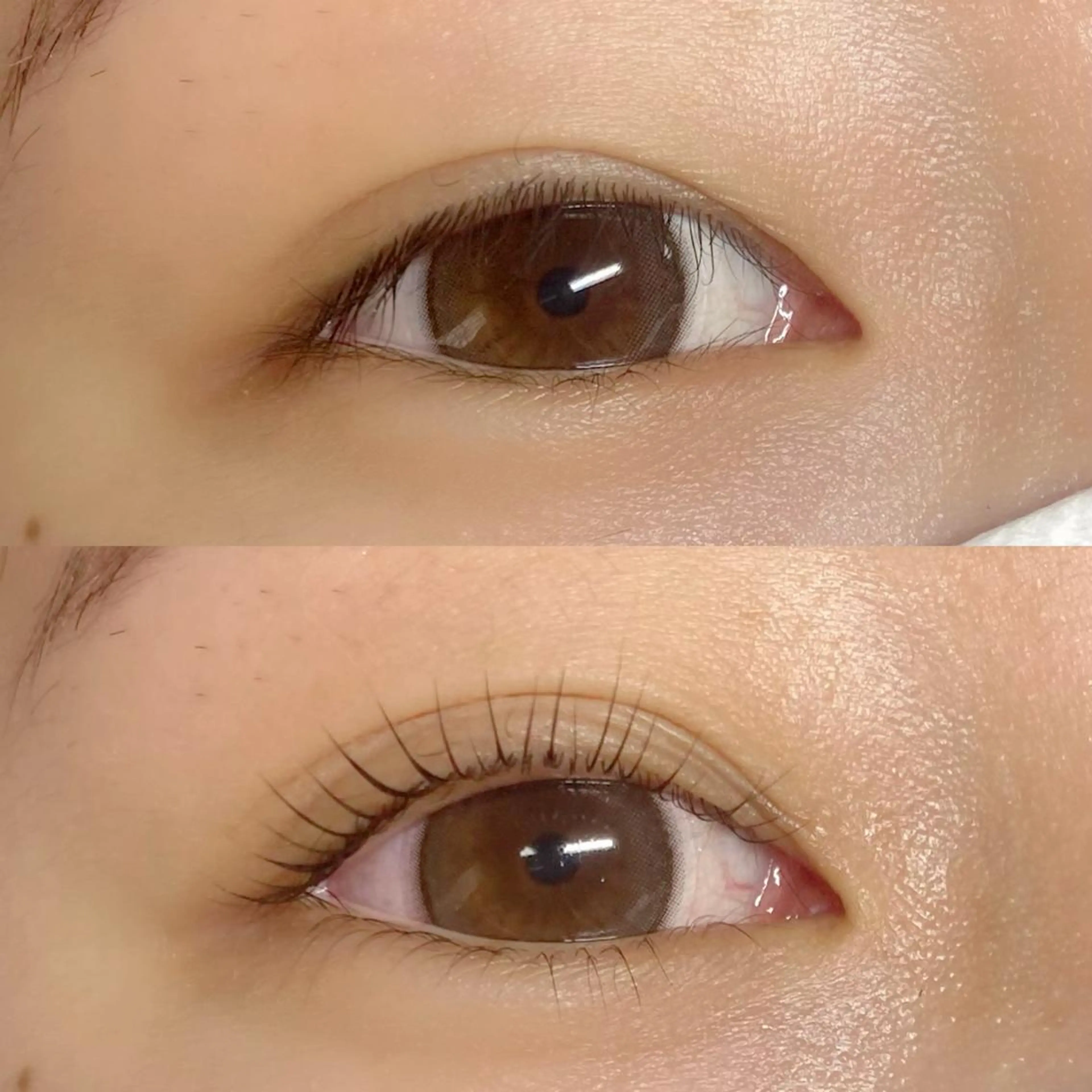 マツエク・マツパ CITRON ⭐︎のマツエク・マツパデザイン