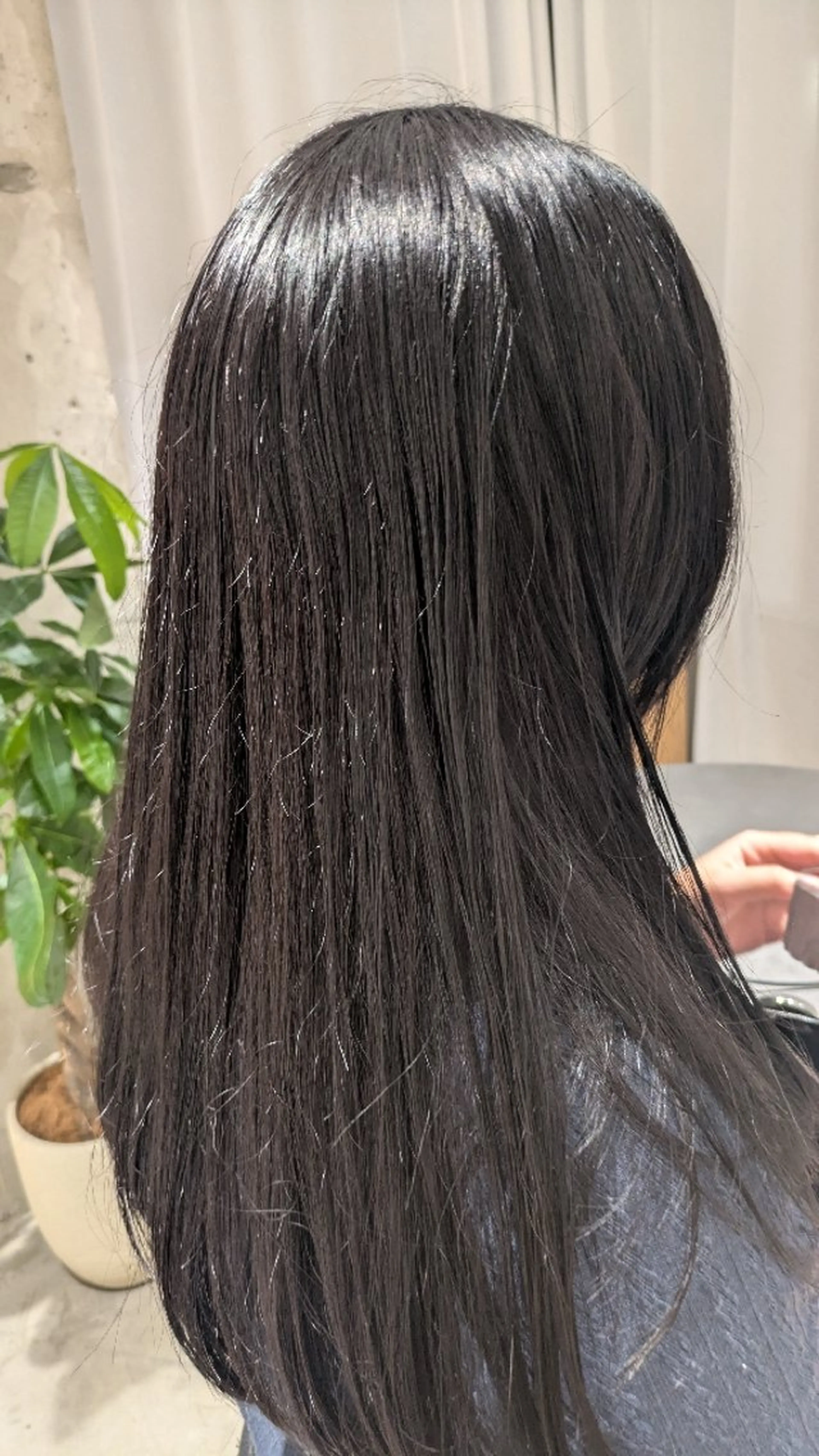 カラー 縮毛矯正💕艶カラー 金川萌萌のヘアスタイル