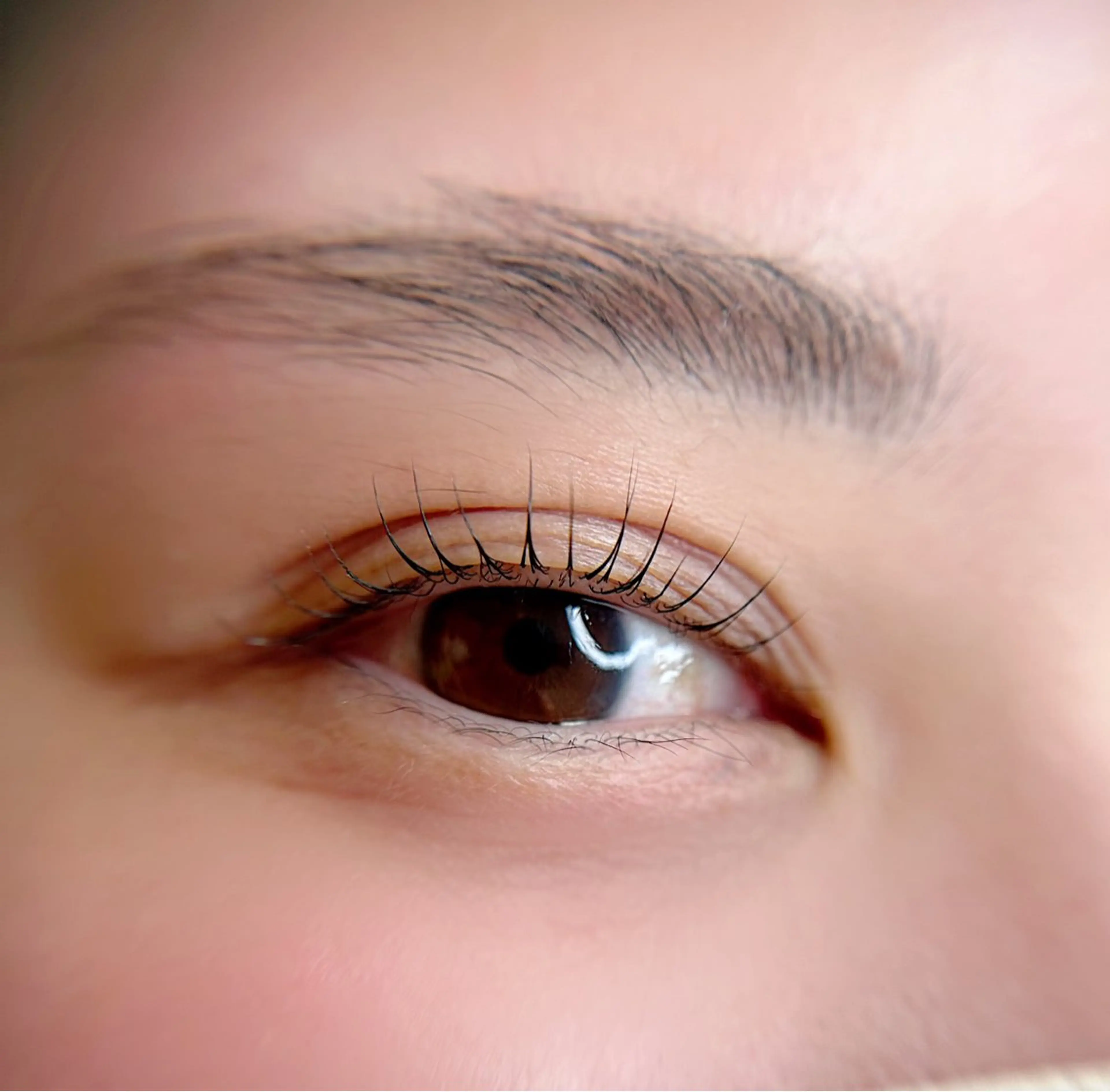 【まつパ】パリジェンヌラッシュリフト上𓍯ブラックケラチントリートメント＋アイsh仕上げコーティング付🪼¥4500の写真