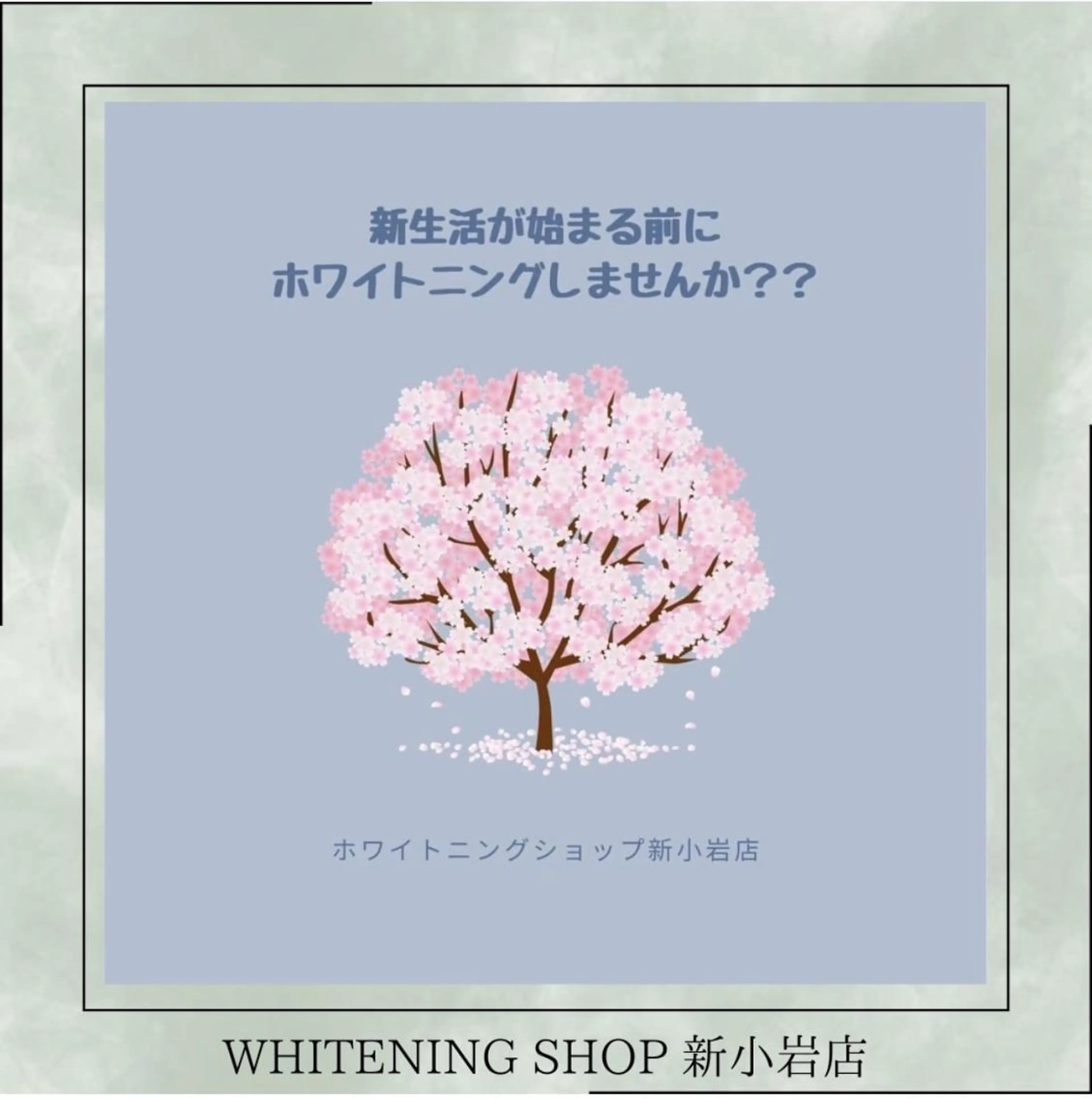 メンズ その他 ホワイトニング ショップ新小岩店のその他イメージ