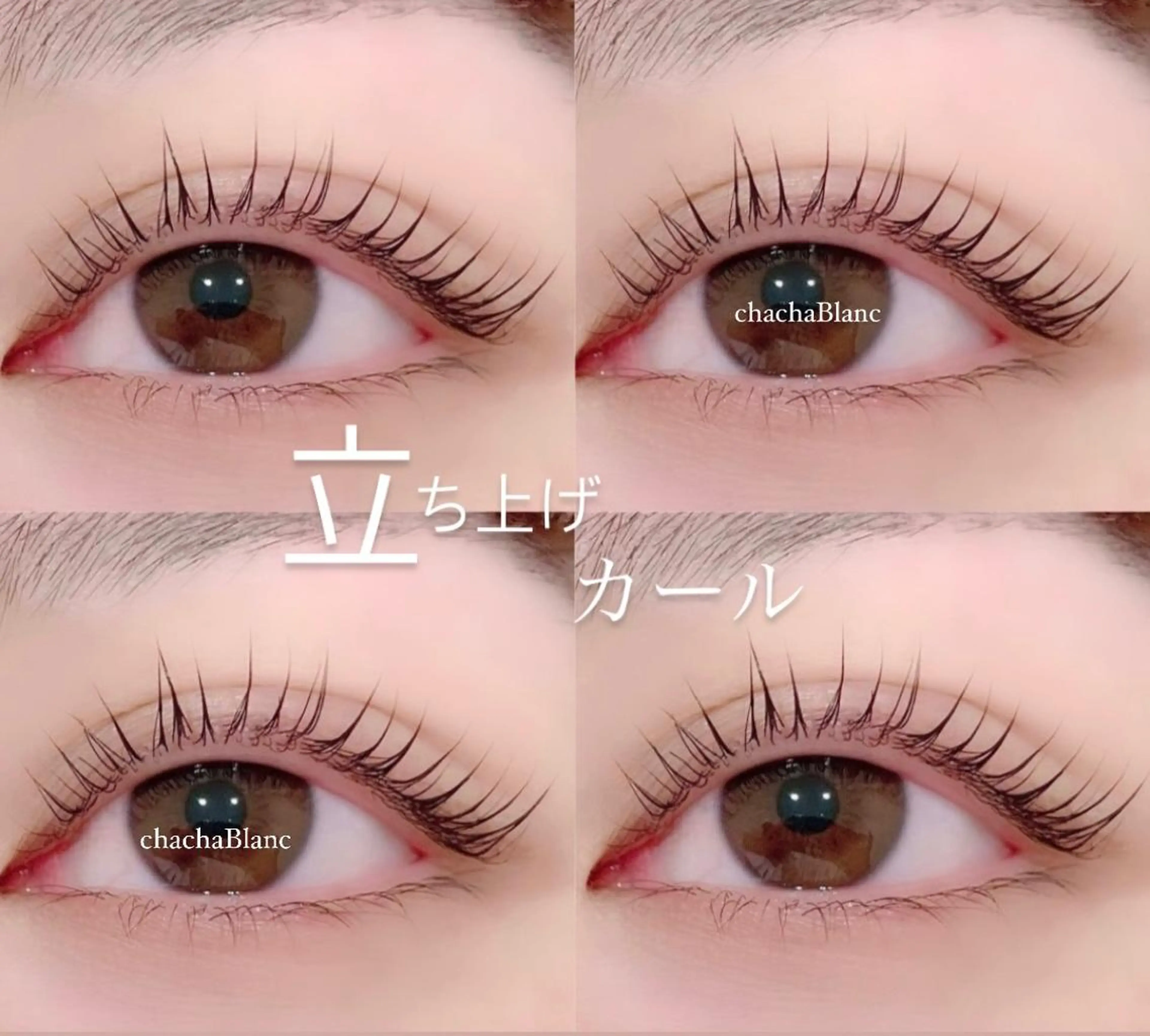 マツエク・マツパ マツエク chacha Bla ncAmie店　大井のマツエク・マツパデザイン