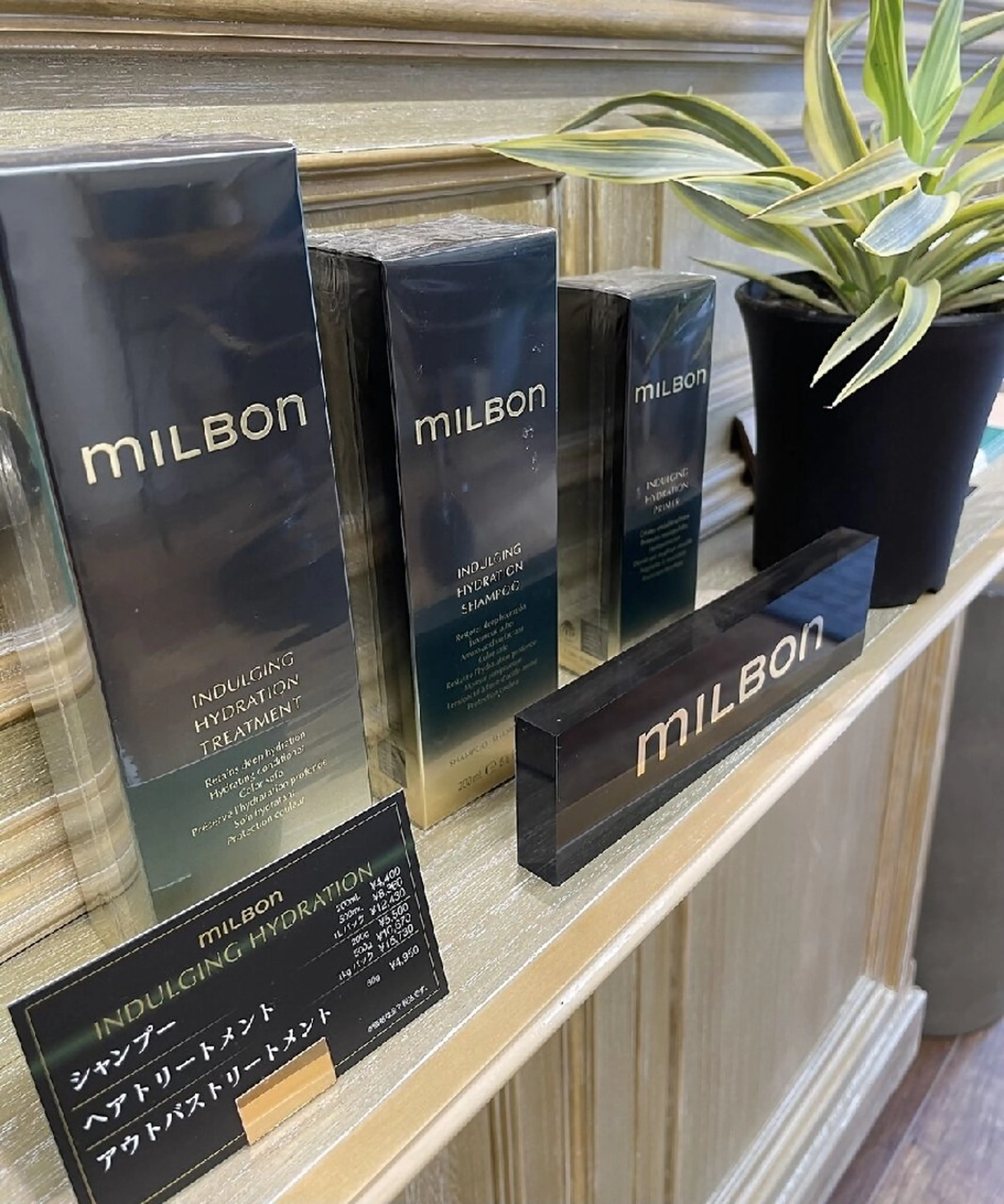 【minimo限定価格】カット+艶リペアカラー+グローバルミルボンTR✨の写真