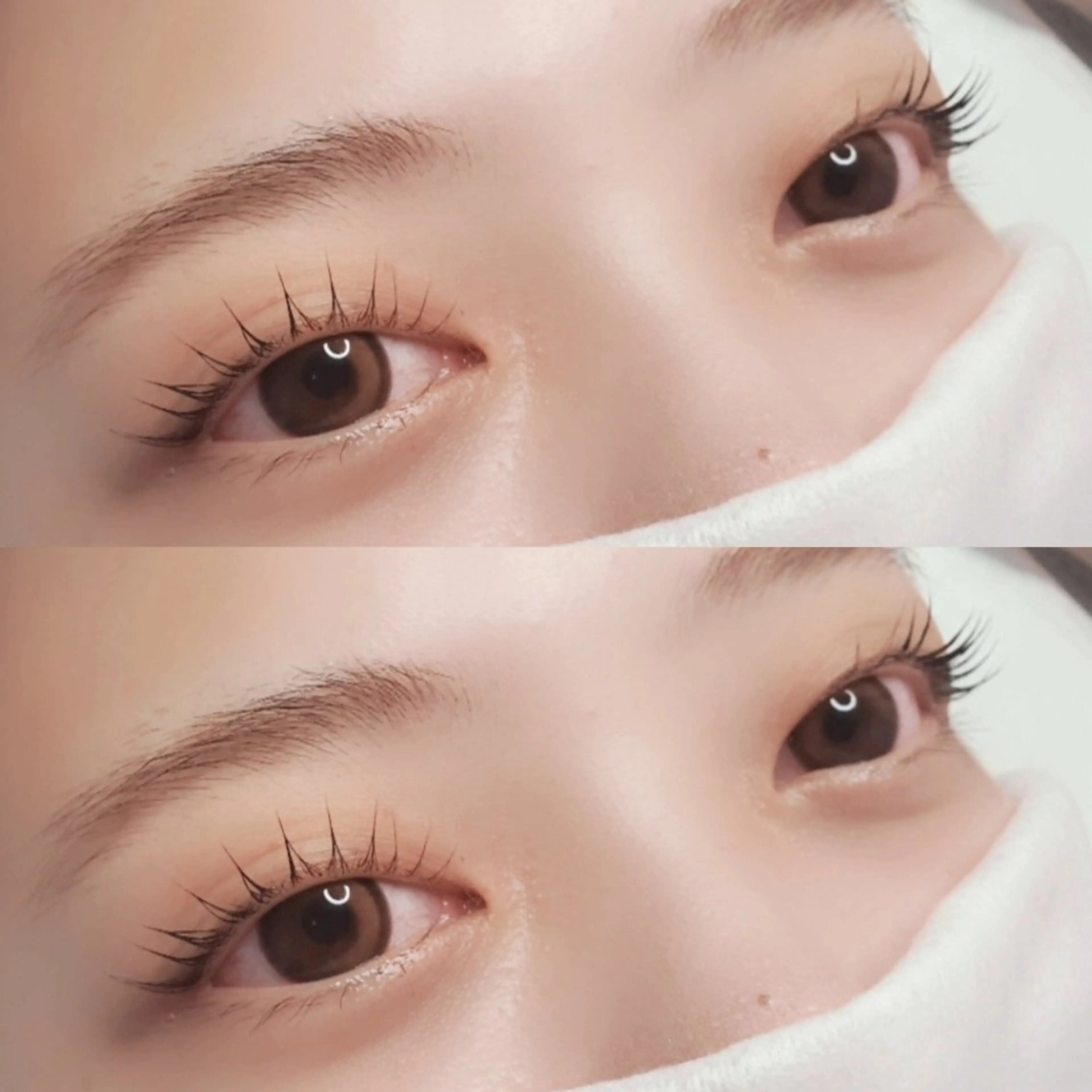 🔷【ブラックティンティング】栄養セラムまつ毛パーマの写真