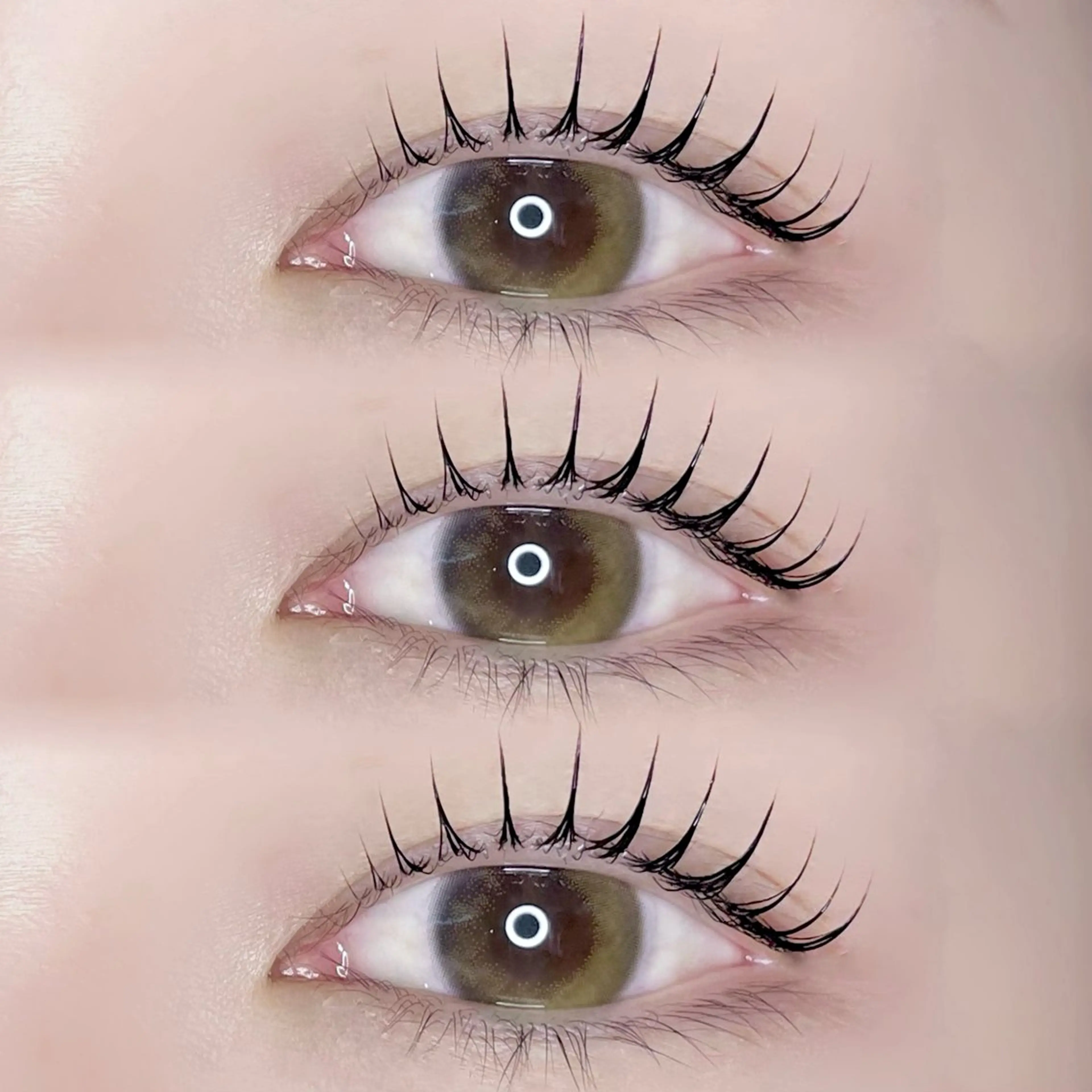 【当日限定🌈】束感まつ毛パーマ🇰🇷（ケラチントリートメント付き）の写真