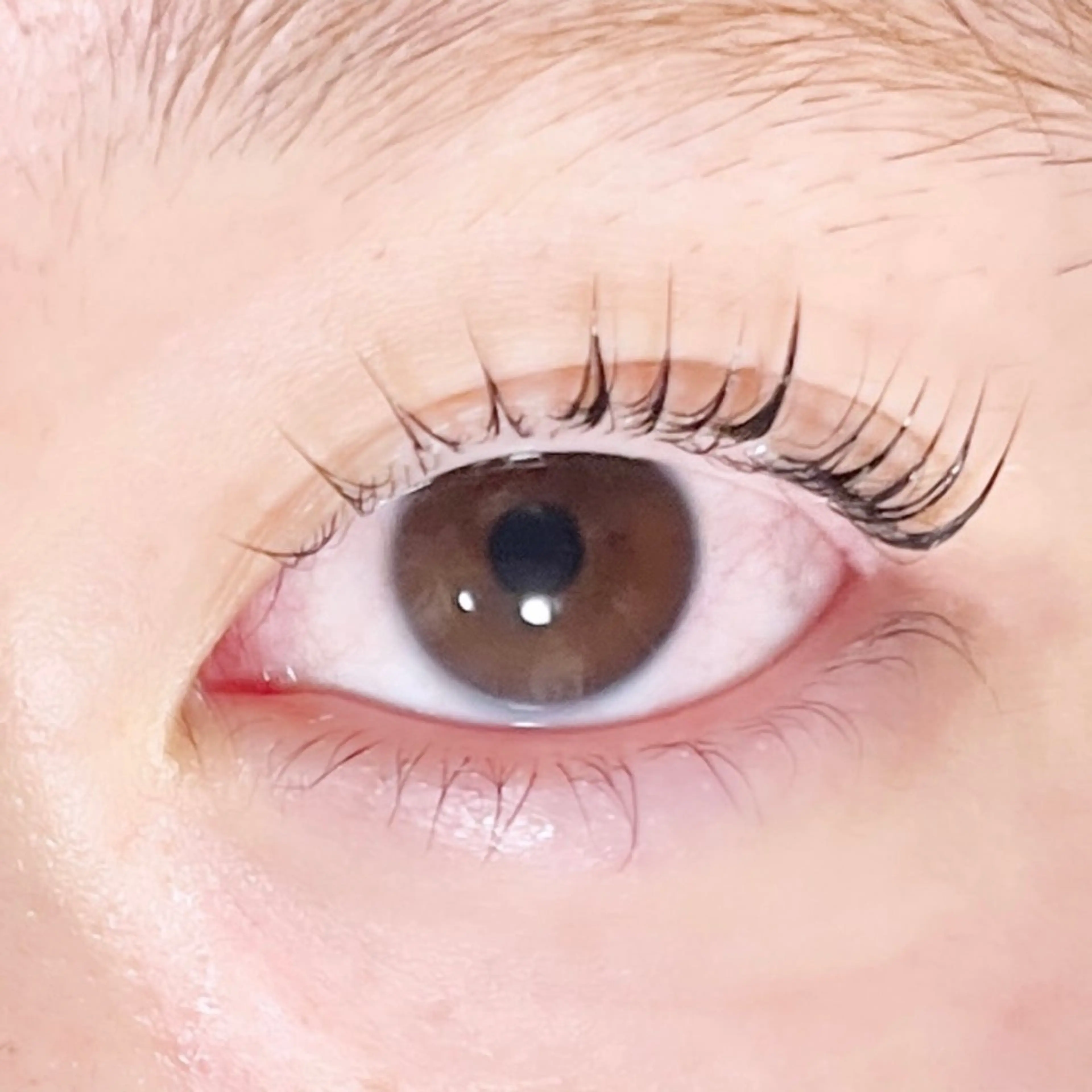 マツエク・マツパ TAKEO🖤 マリーテレジア藤が丘のマツエク・マツパデザイン