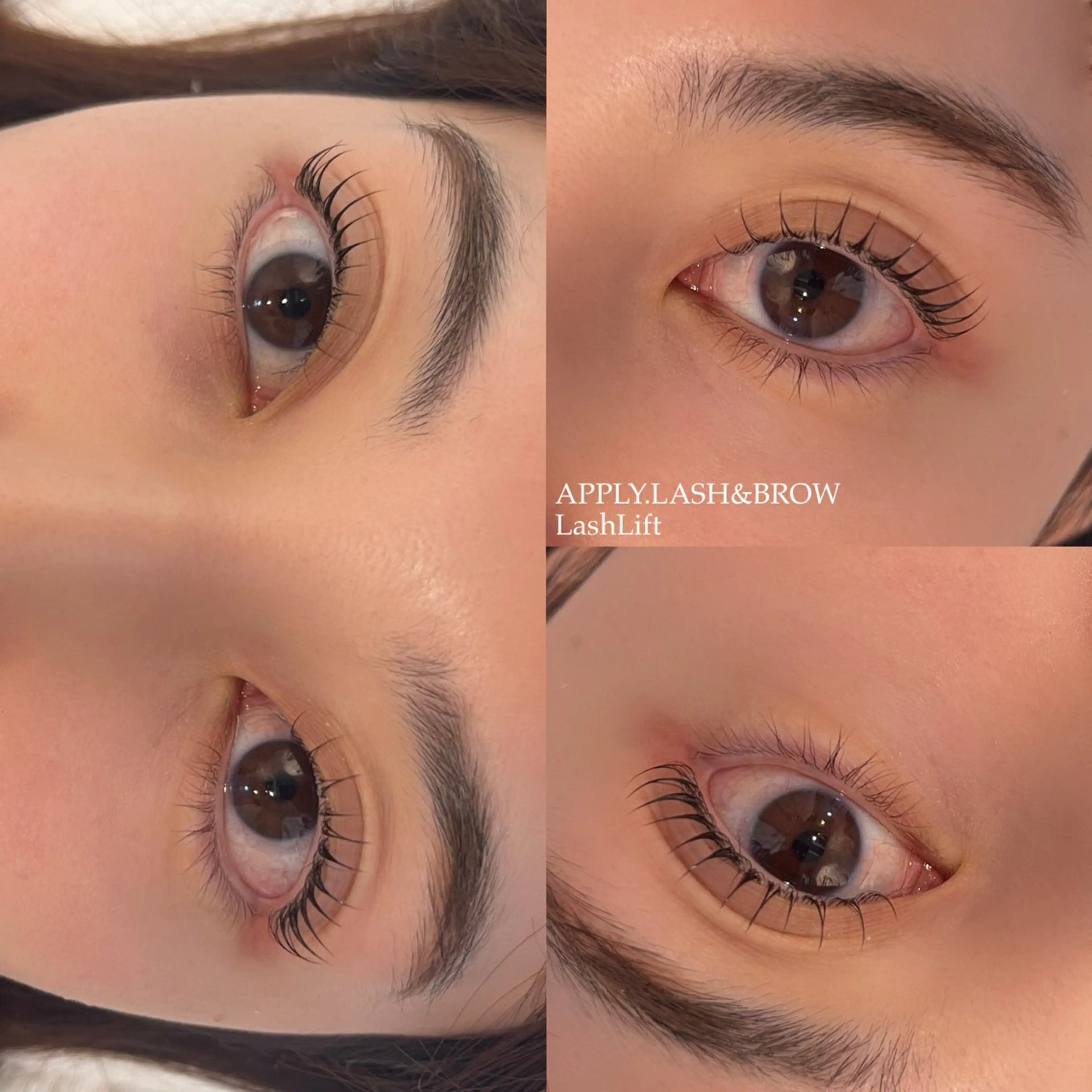 上下まつ毛パーマ🤎の写真