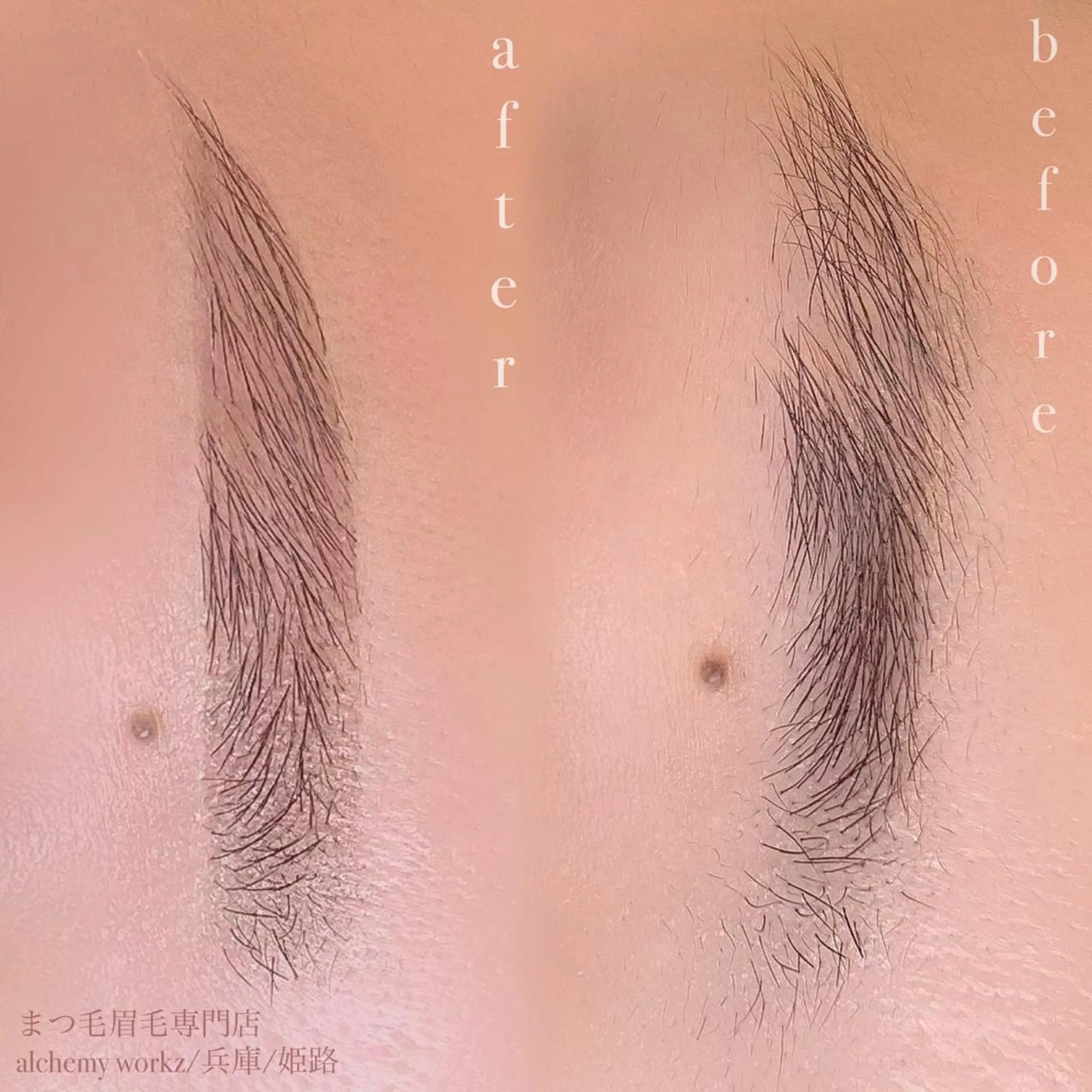 アイブロウ alchemy workzの眉毛・アイブロウイメージ