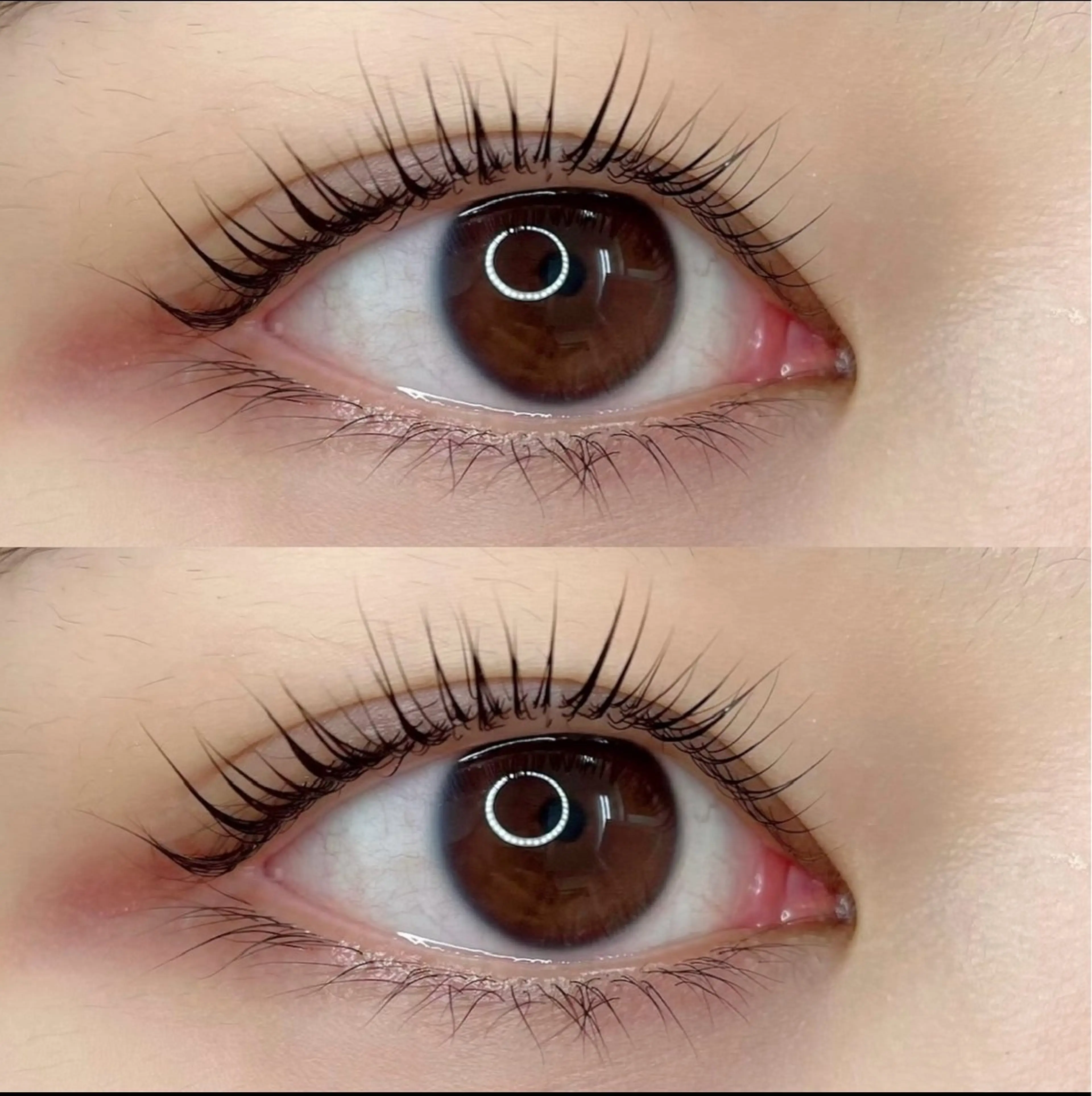 マツエク・マツパ パリジェンヌラッシュリフト alice tokyo石川★のマツエク・マツパデザイン