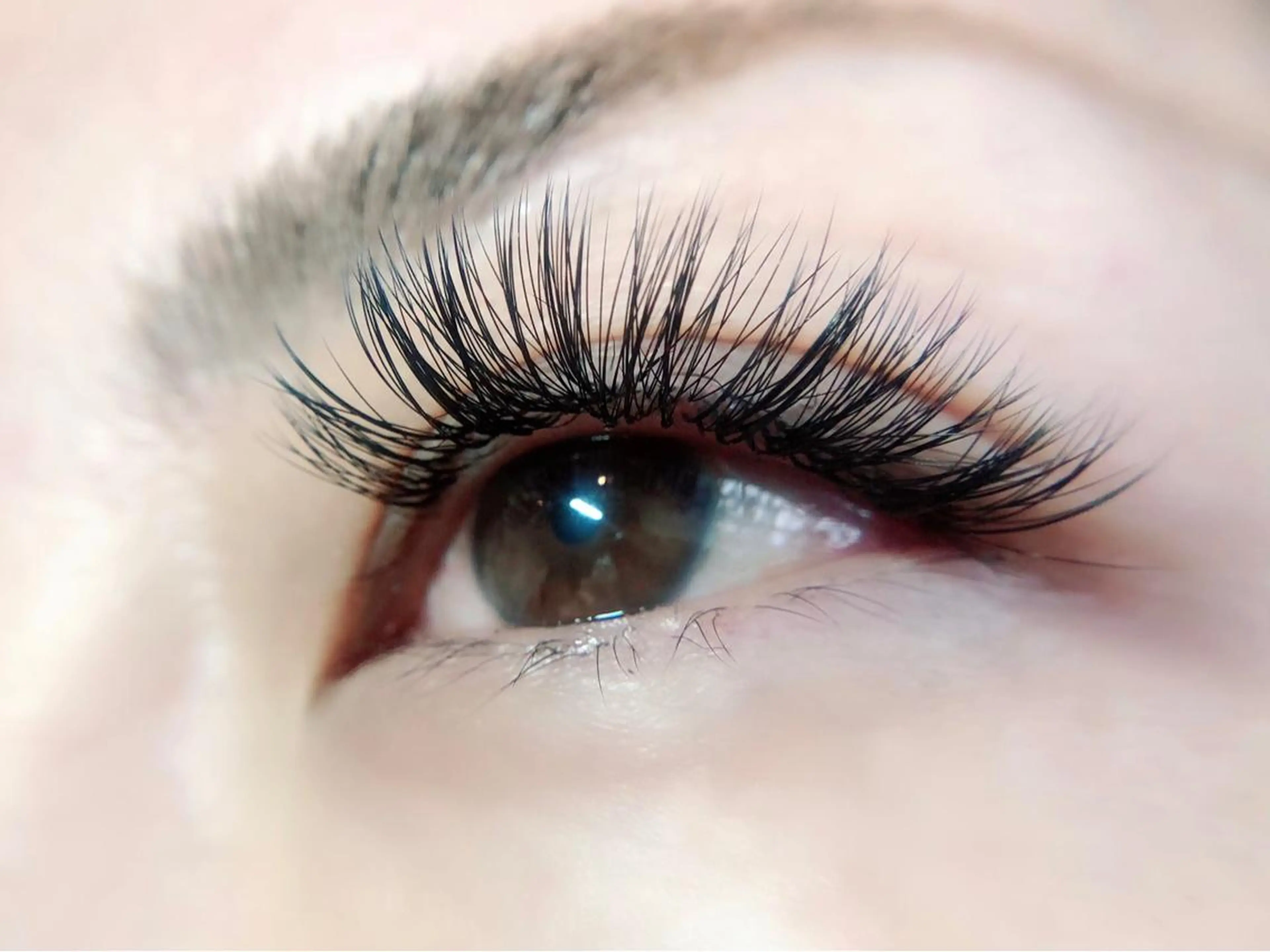 最高級セーブルエクステ100本&アイブロウWAX【SETクーポン】の写真