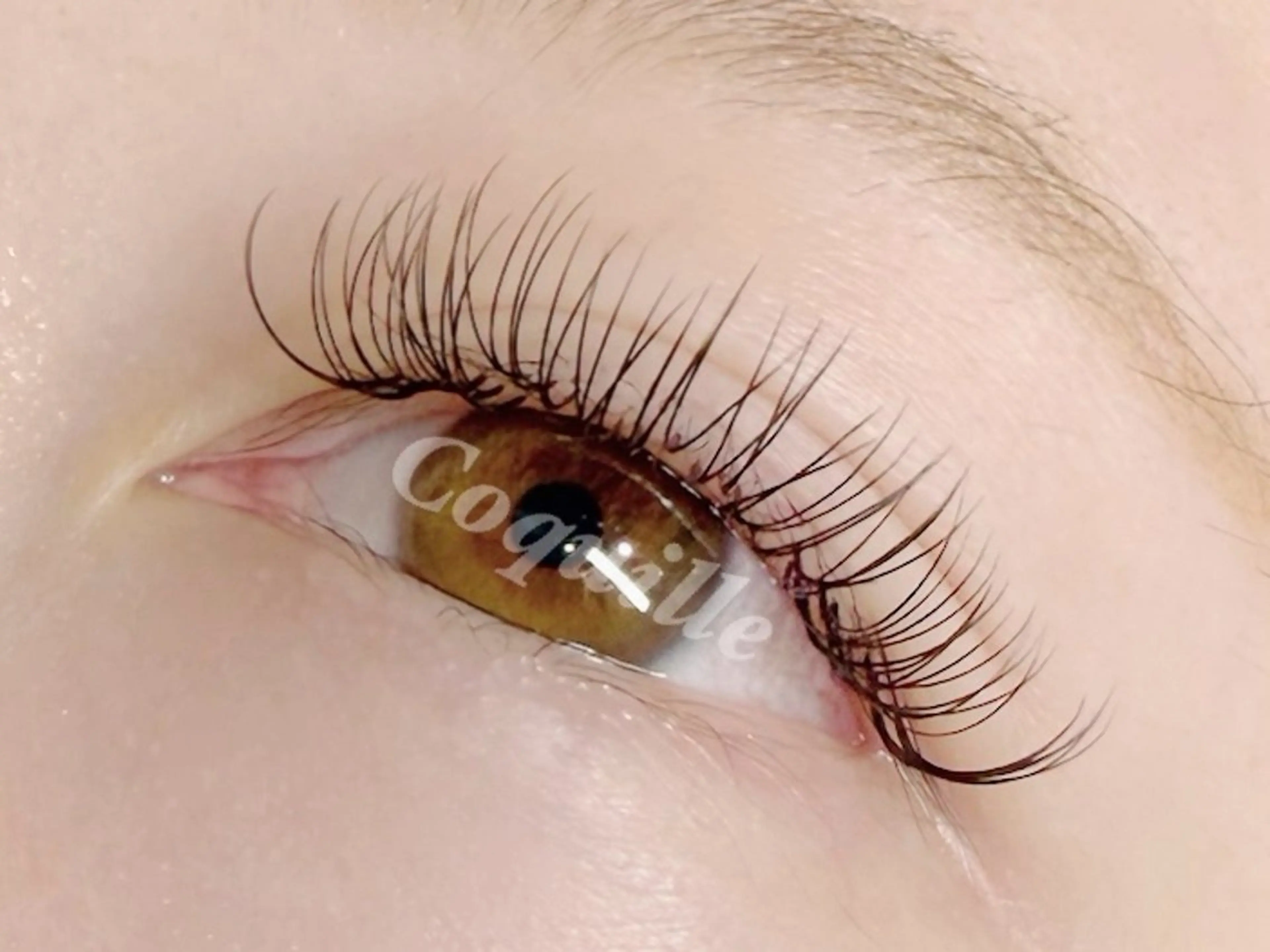 マツエク・マツパ Coquille2 コキーユ2のマツエク・マツパデザイン