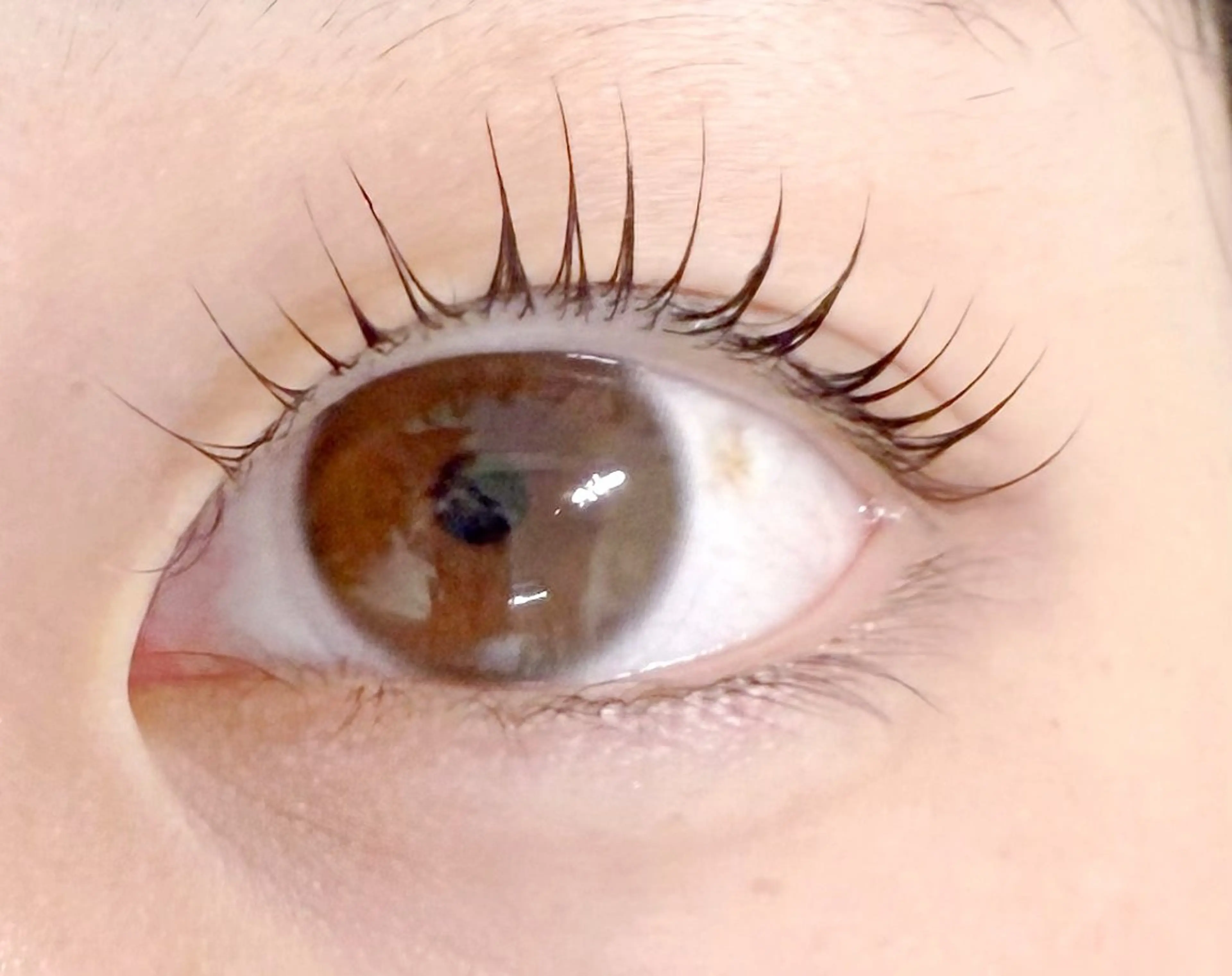 マツエク・マツパ haruka 【ever天神店】のマツエク・マツパデザイン