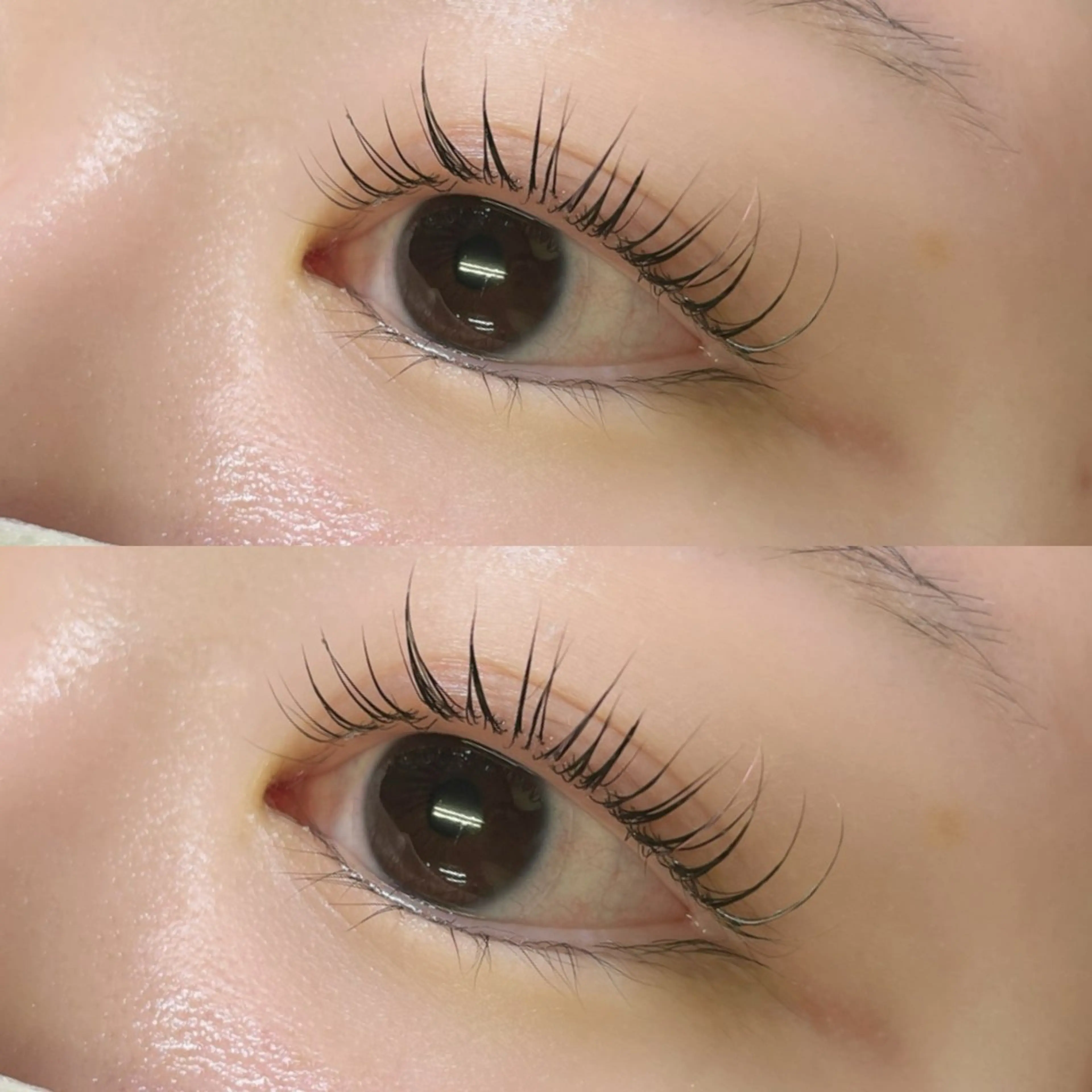 マツエク・マツパ マツパ リフュージュ　隠れ家所属・リフュージュ🌷 カホのマツエク・マツパデザイン