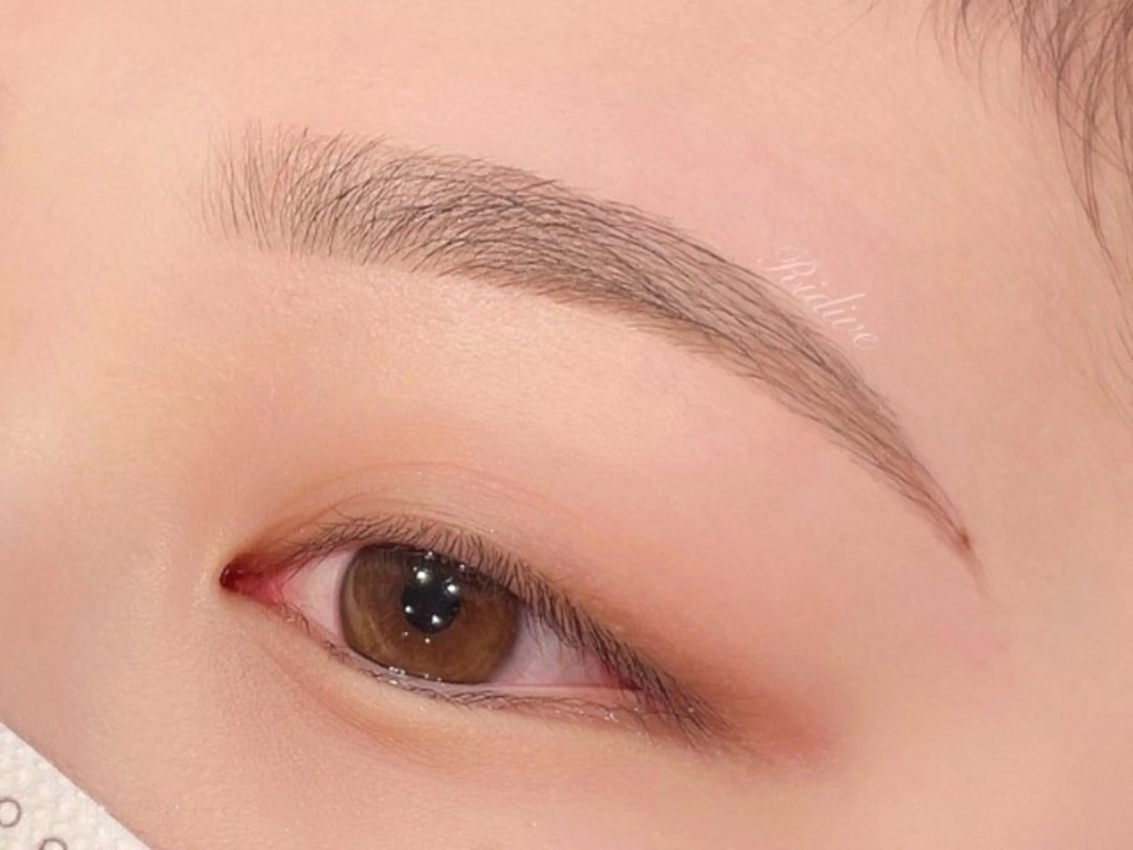 アイブロウ アイブロウサロンRidive【吉祥寺所属・Ridive Ruiのマツエク・マツパデザイン