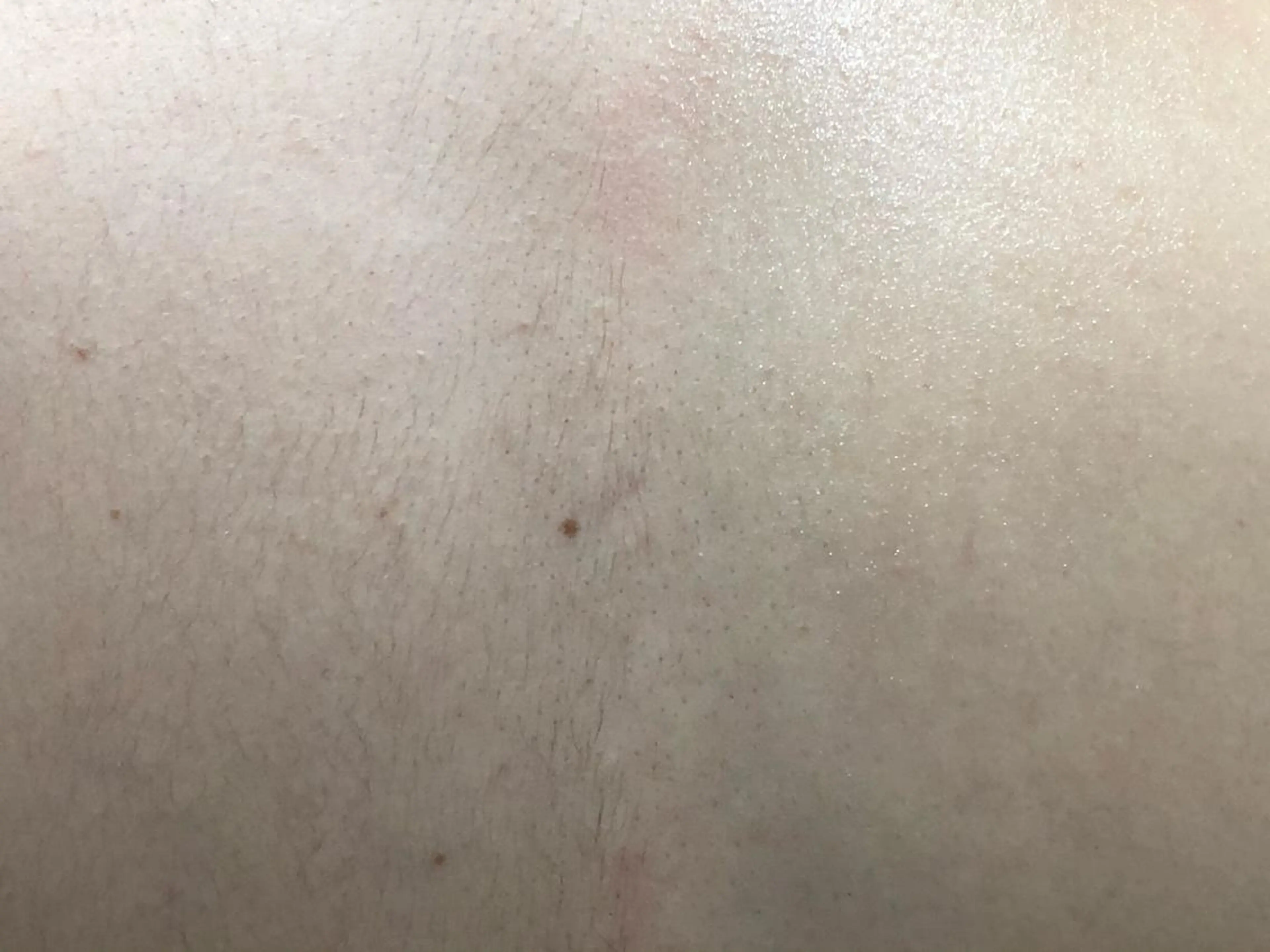 Naps-Shaving所属・新宿シェービング専門 Napsの眉毛・アイブロウイメージ