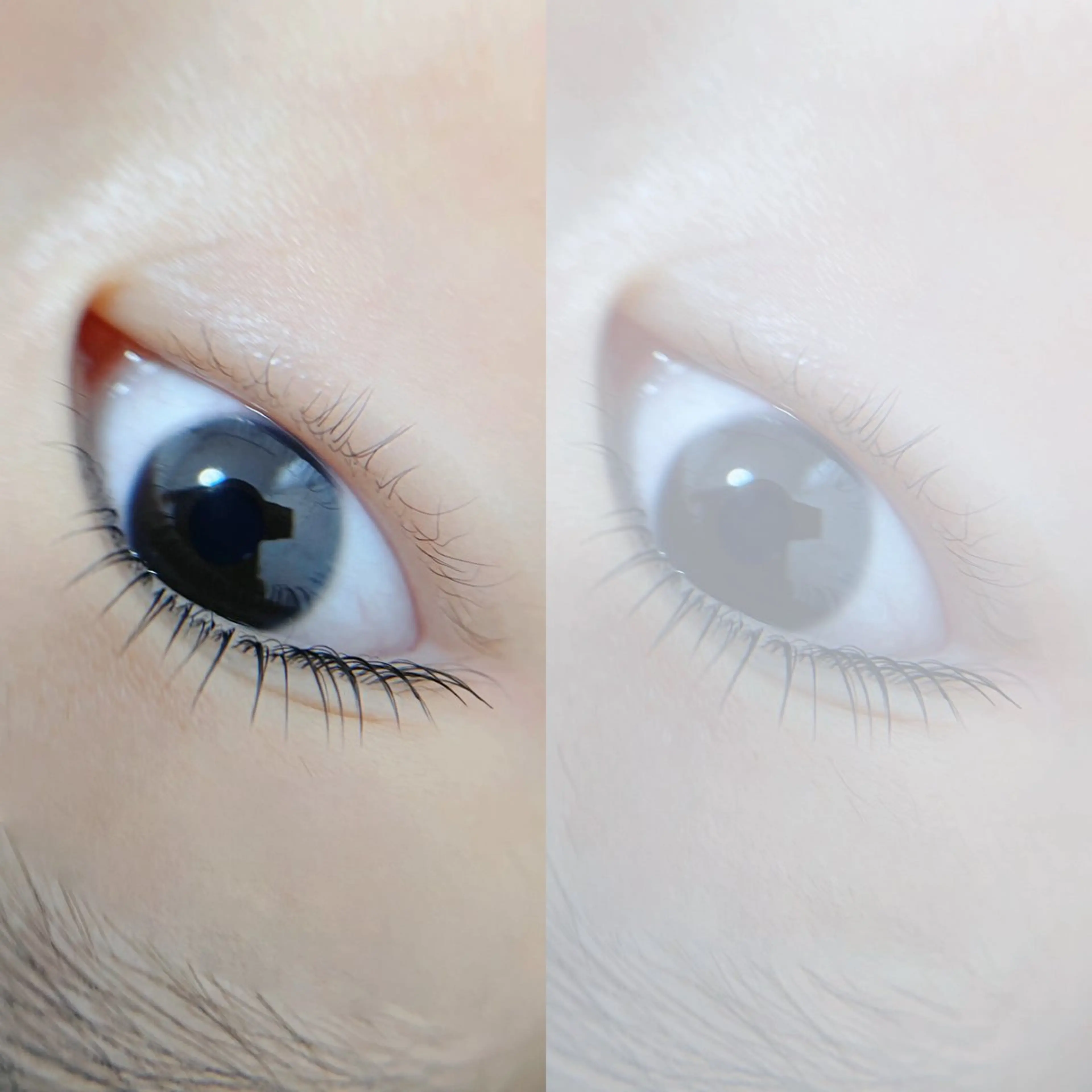 マツエク・マツパ SENA.Eyelash salon柏原店(セナアイラッシュサロン)所属・SENA セナのマツエク・マツパデザイン