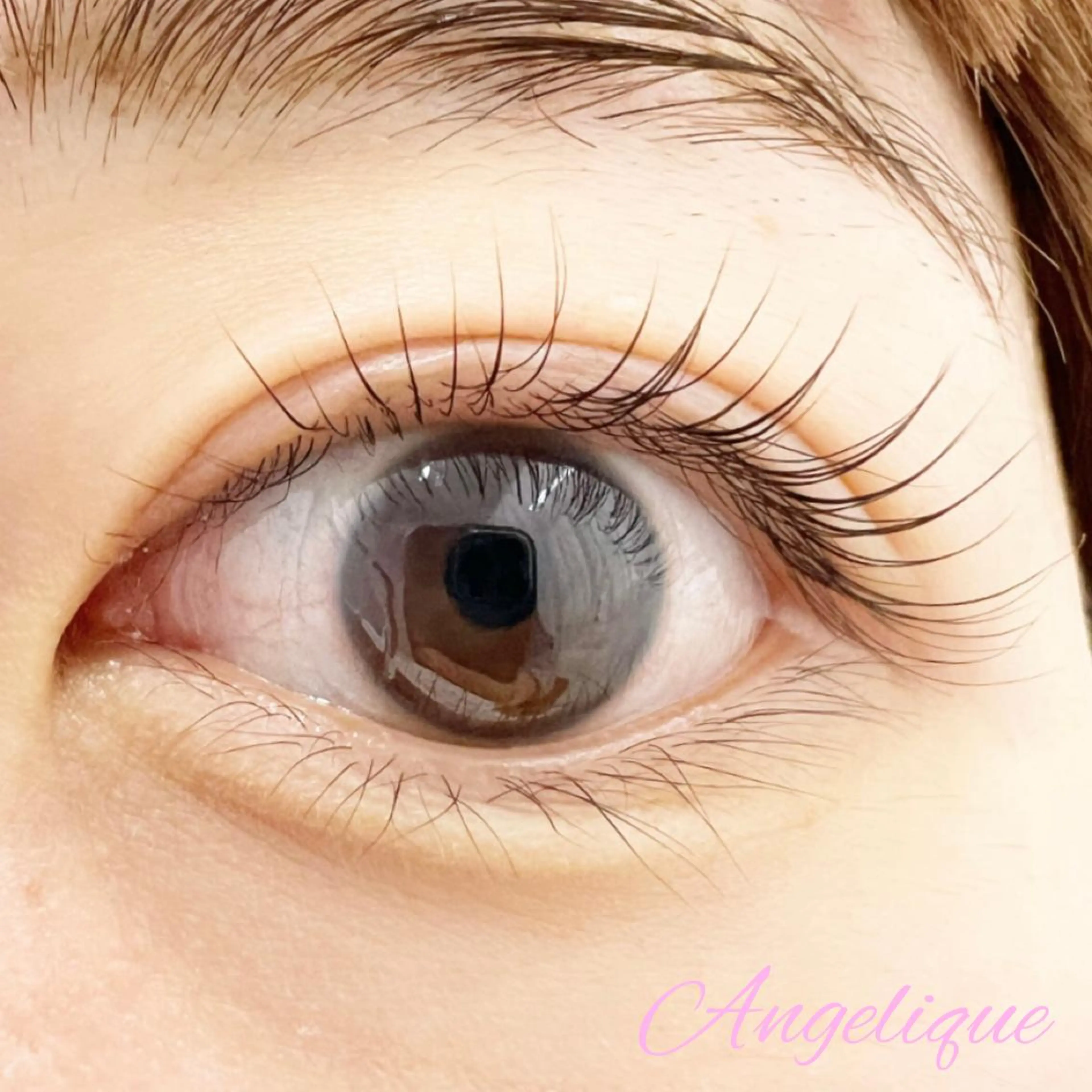 マツエク・マツパ ナチュラル 一重×まつ毛パーマ 田村 莉子のマツエク・マツパデザイン