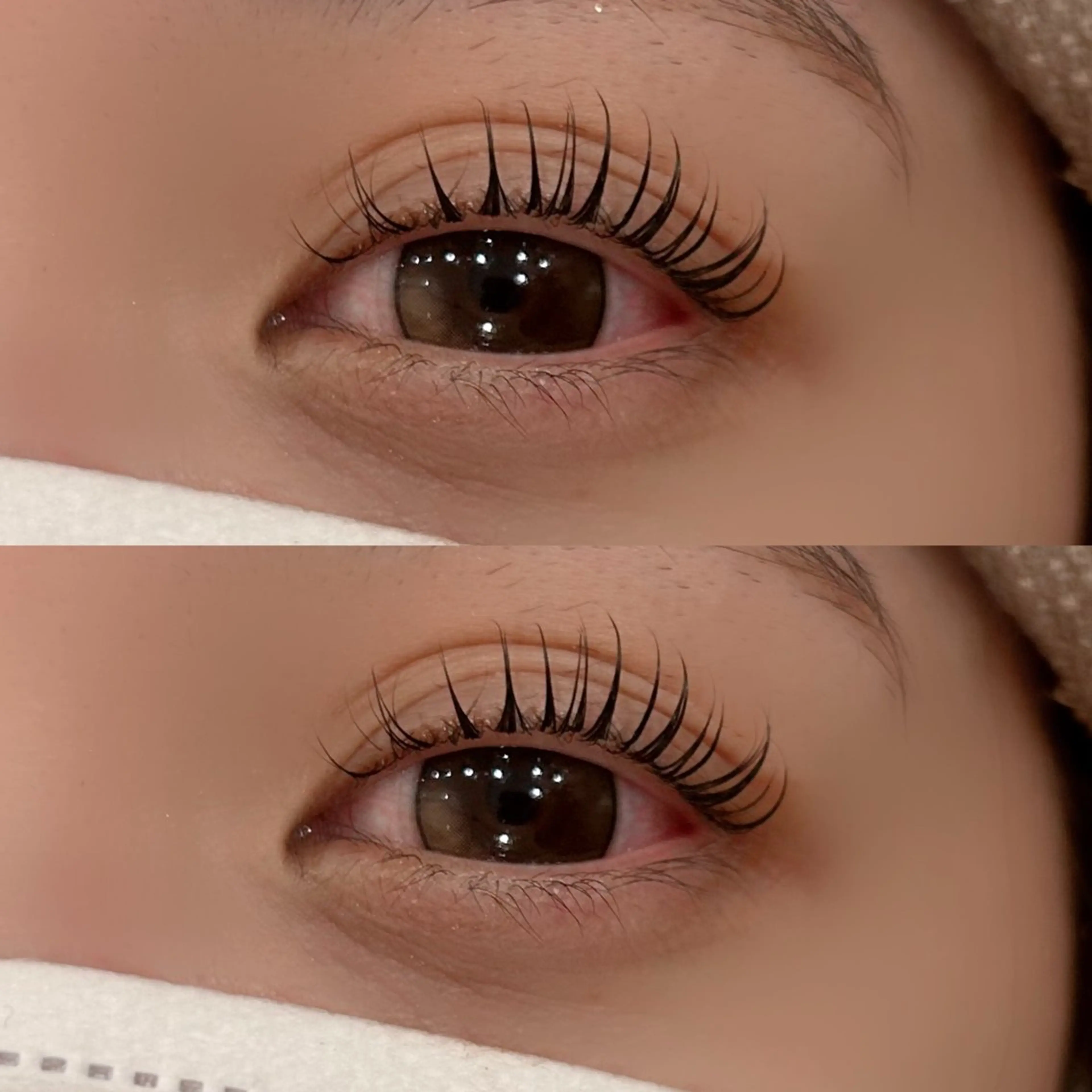 マツエク・マツパ Daisy Lash /天王寺✨樫井美波のマツエク・マツパデザイン