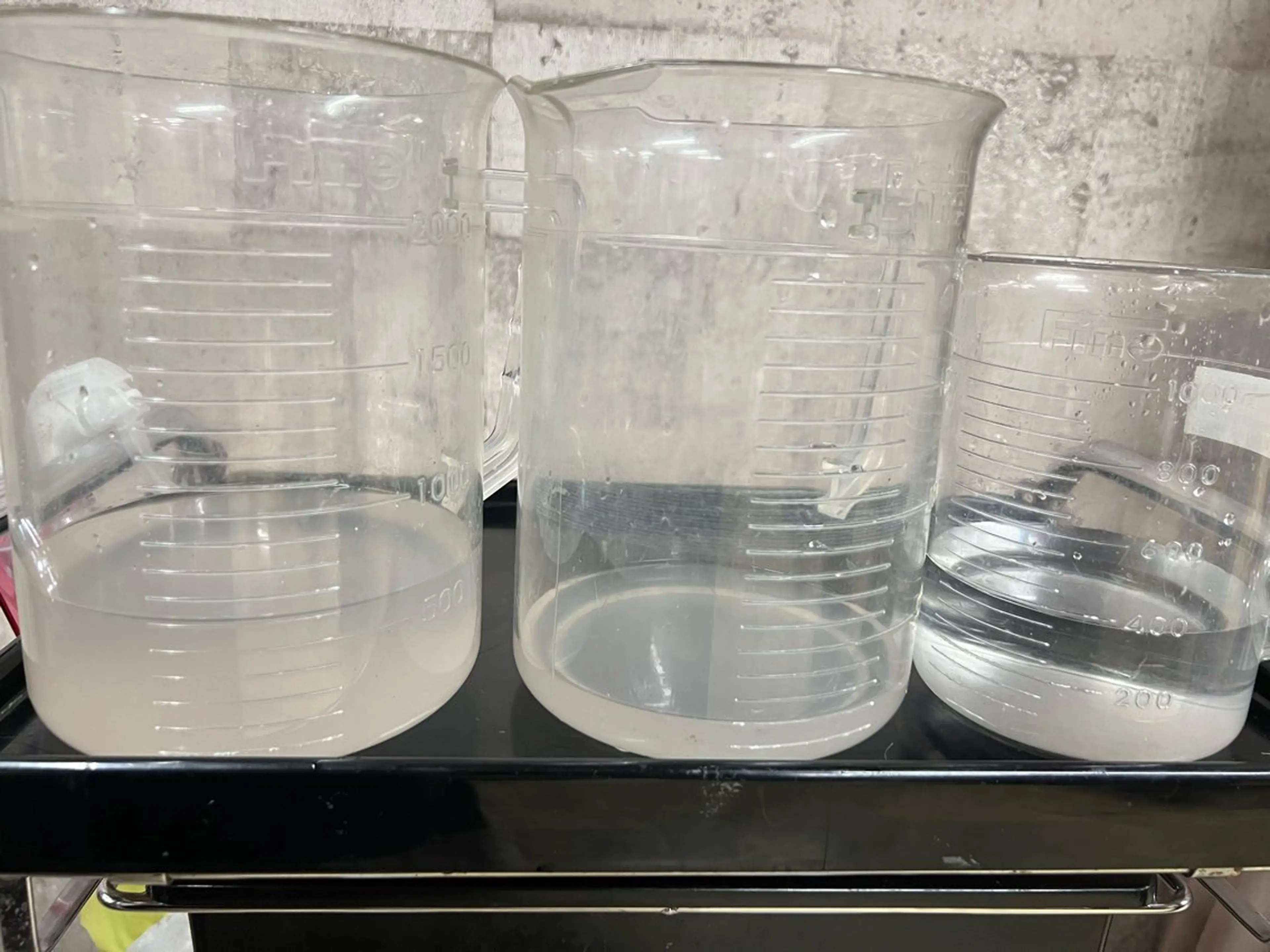 ✨デトックス職人✨ トーヒラボのヘアスタイル