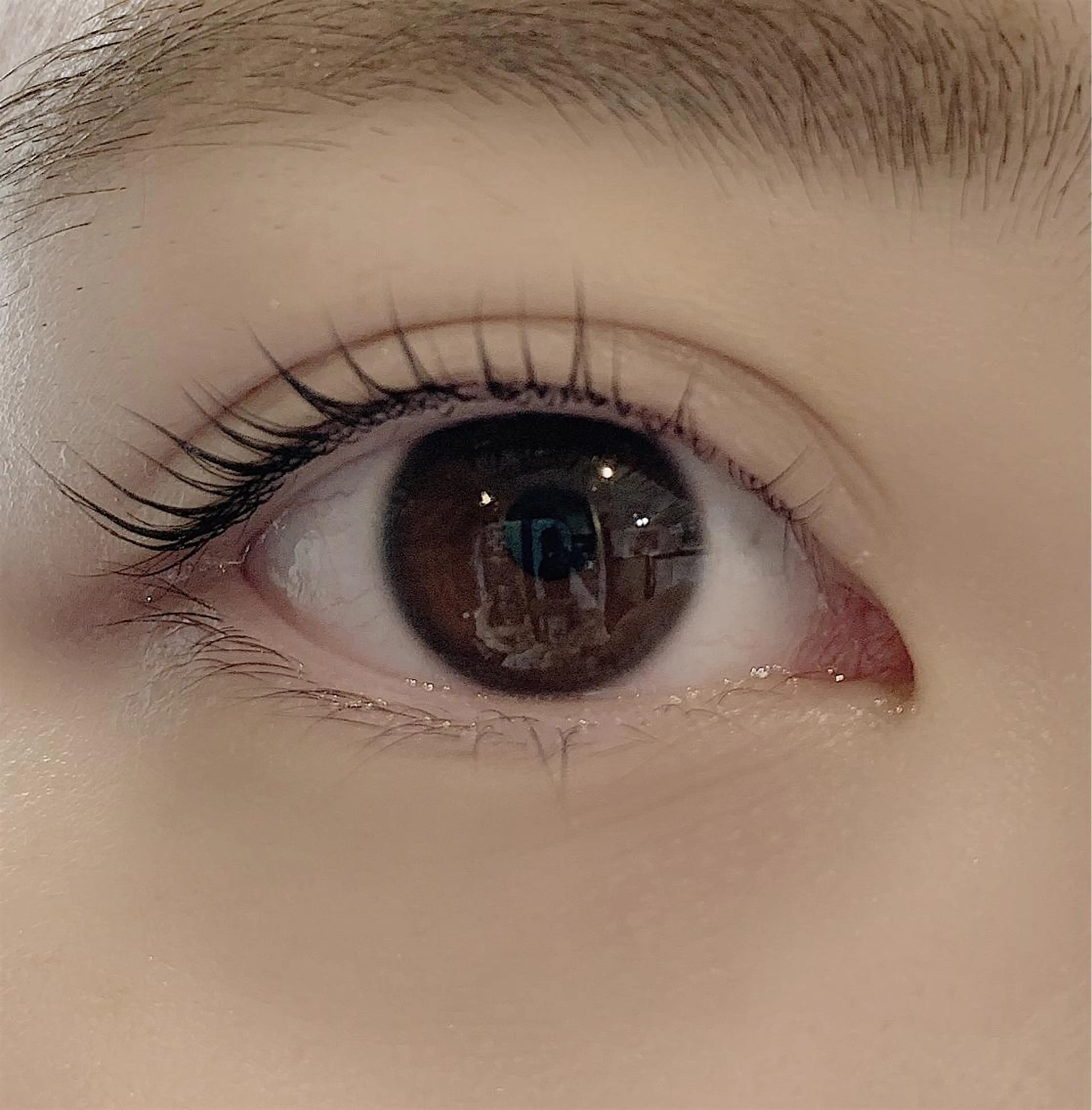 マツエク・マツパ 一重×まつ毛パーマ Air+<PLUS>森下店所属・橋本 朋佳のマツエク・マツパデザイン