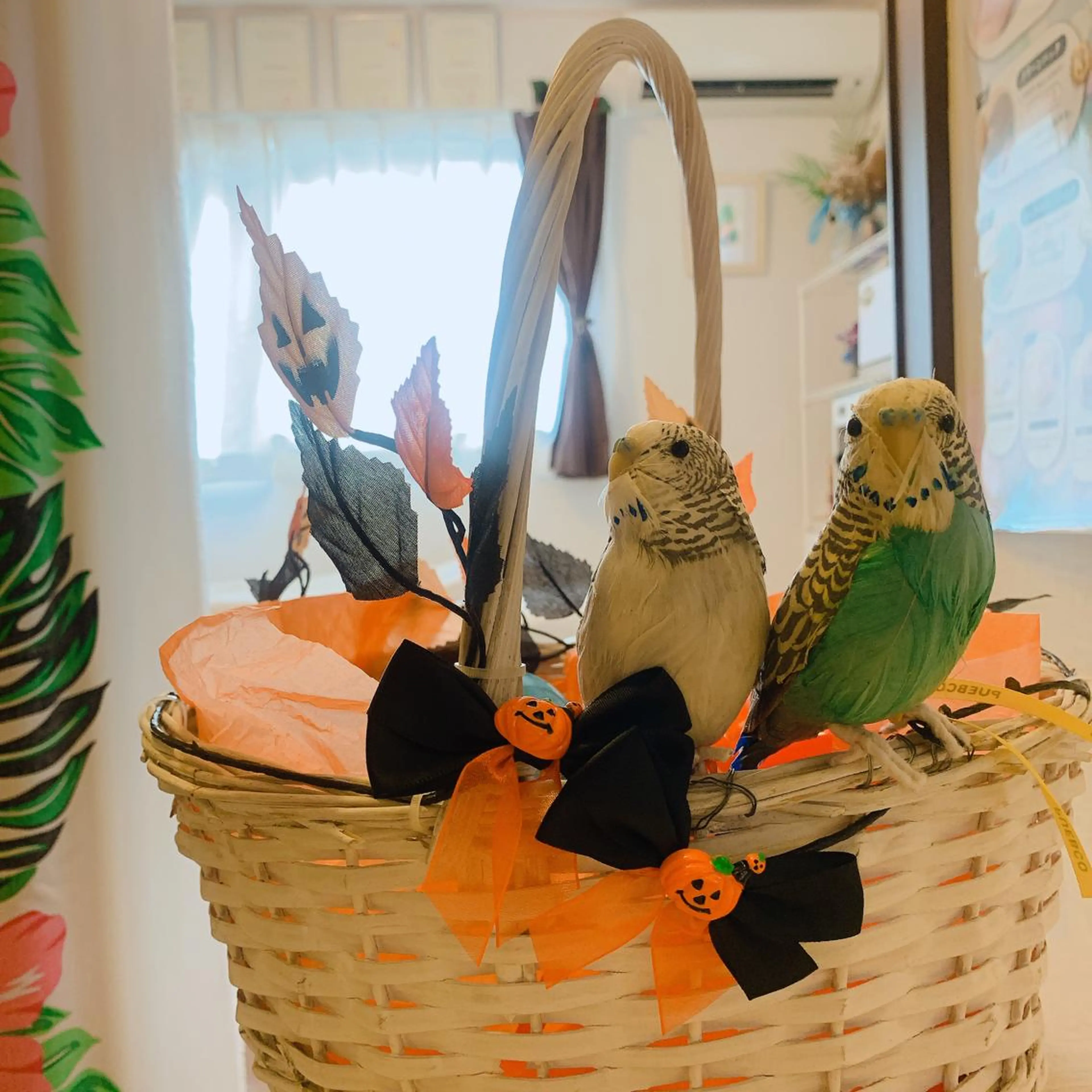 深井中所属・服部 恵里那のエステ・リラクイメージ