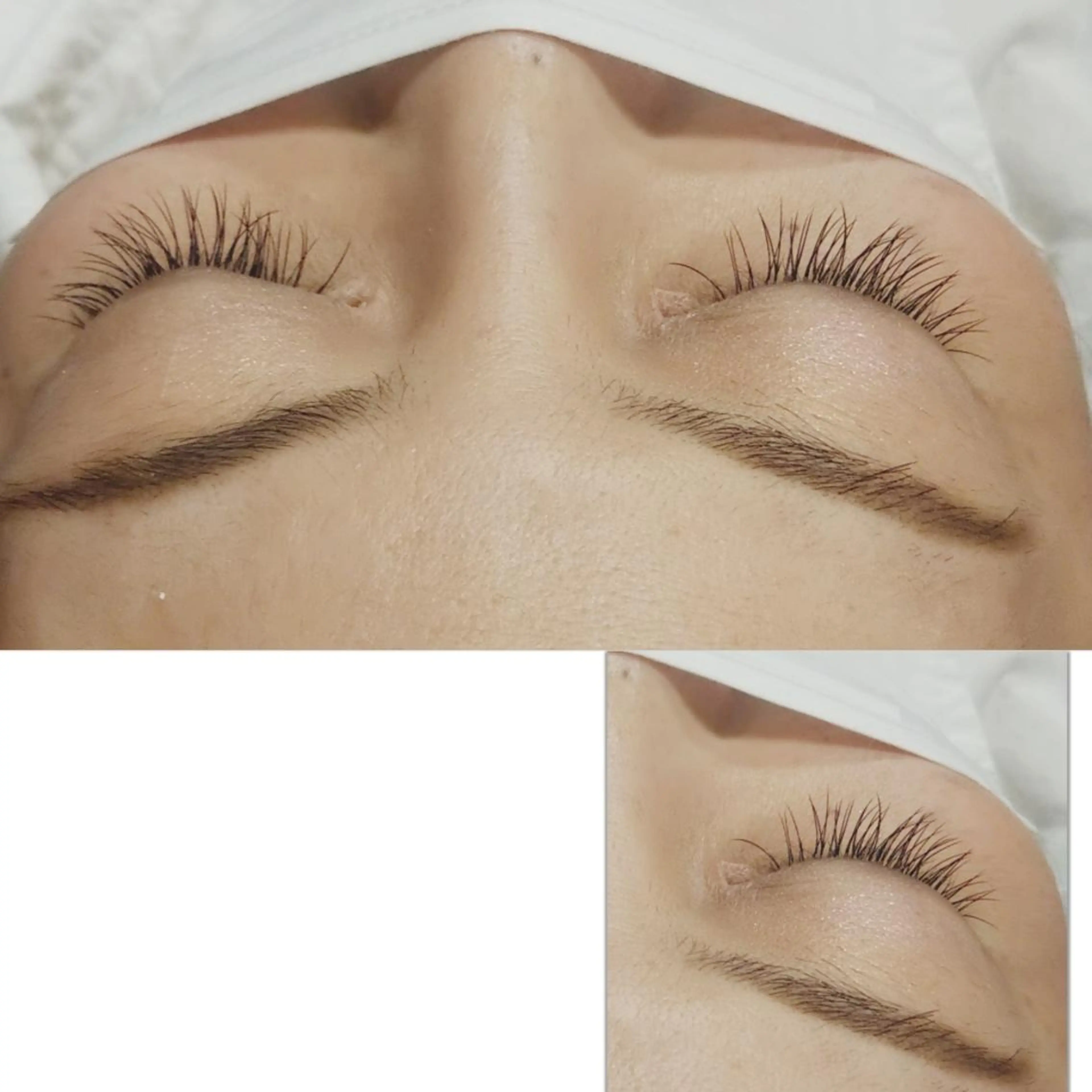 平日限定クーポン【超軽量】ちょうどよいボリューム感♡フラットラッシュ120本。オフ🆗) 次回特典付きの写真