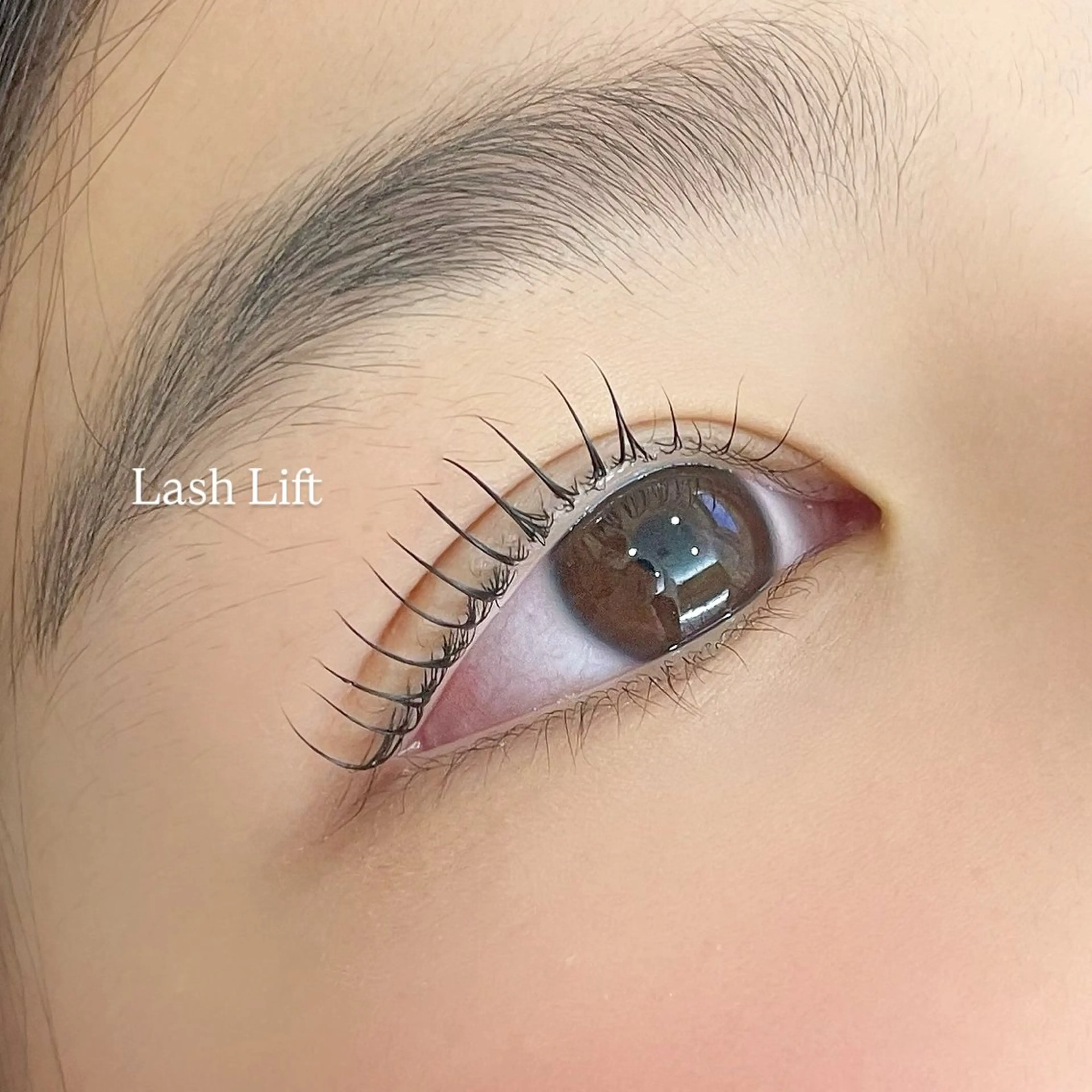 【期間限定無料モデル】まつ毛パーマの写真