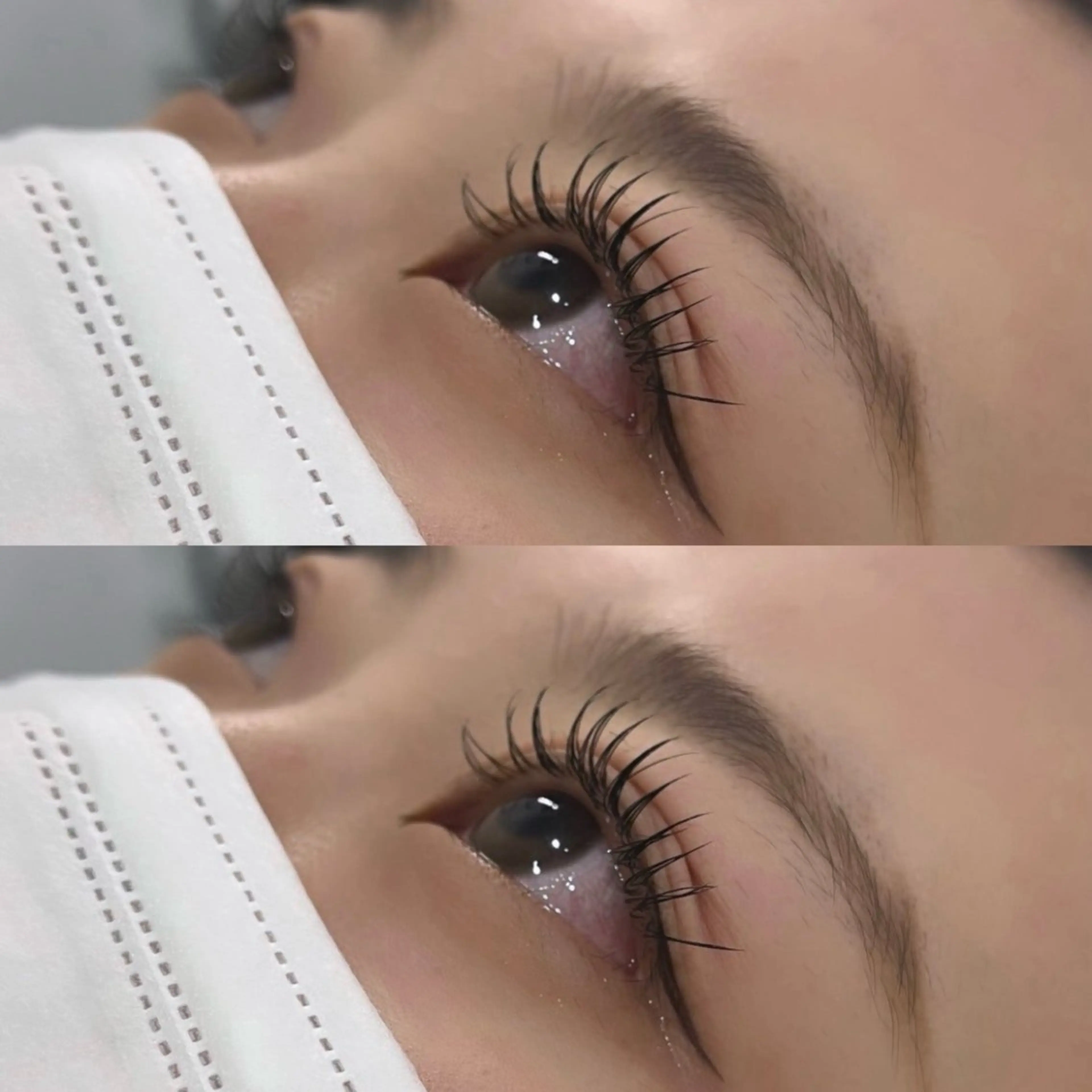 オフ込みフラットラッシュ 140本の写真