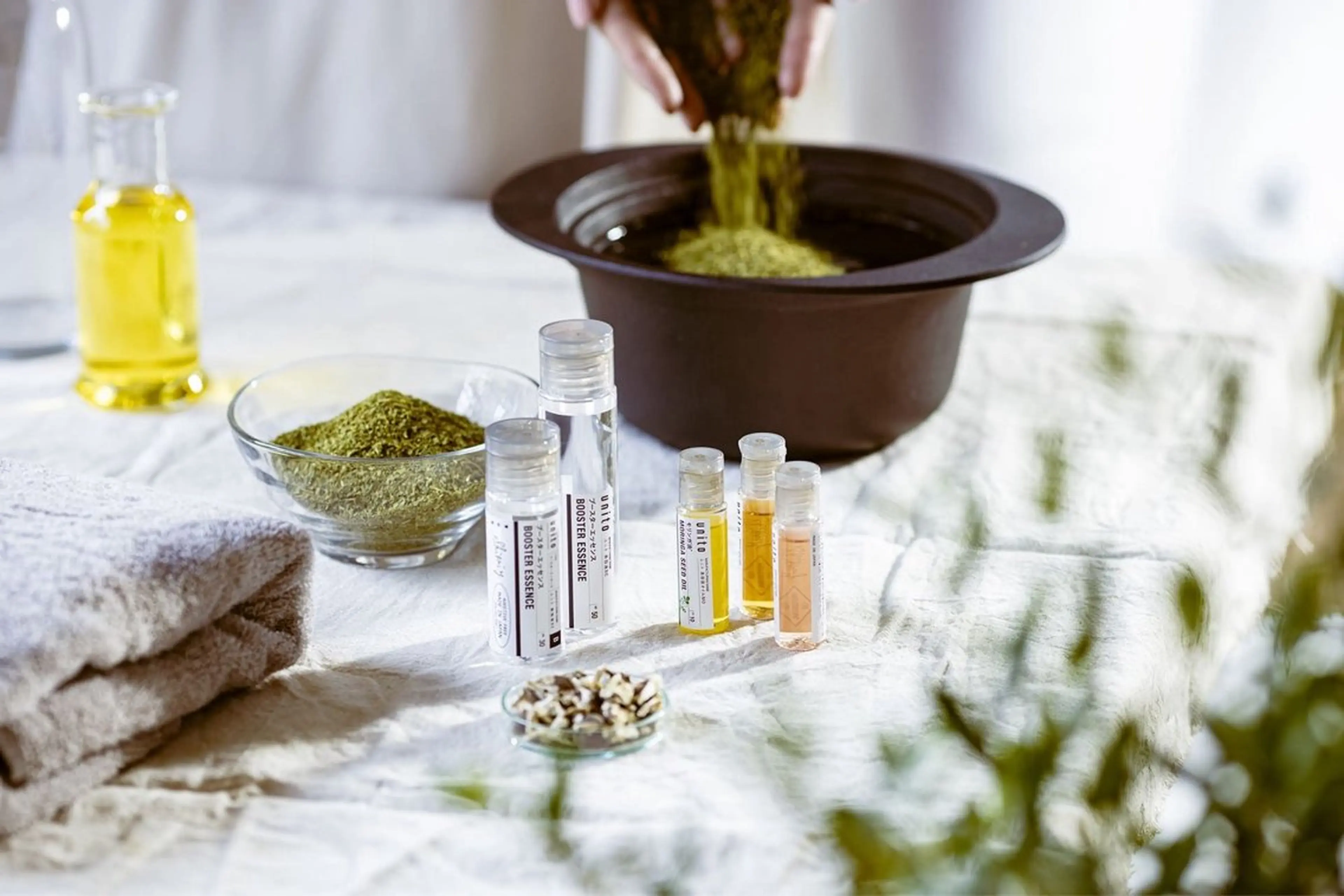 モリンガ蒸しの写真