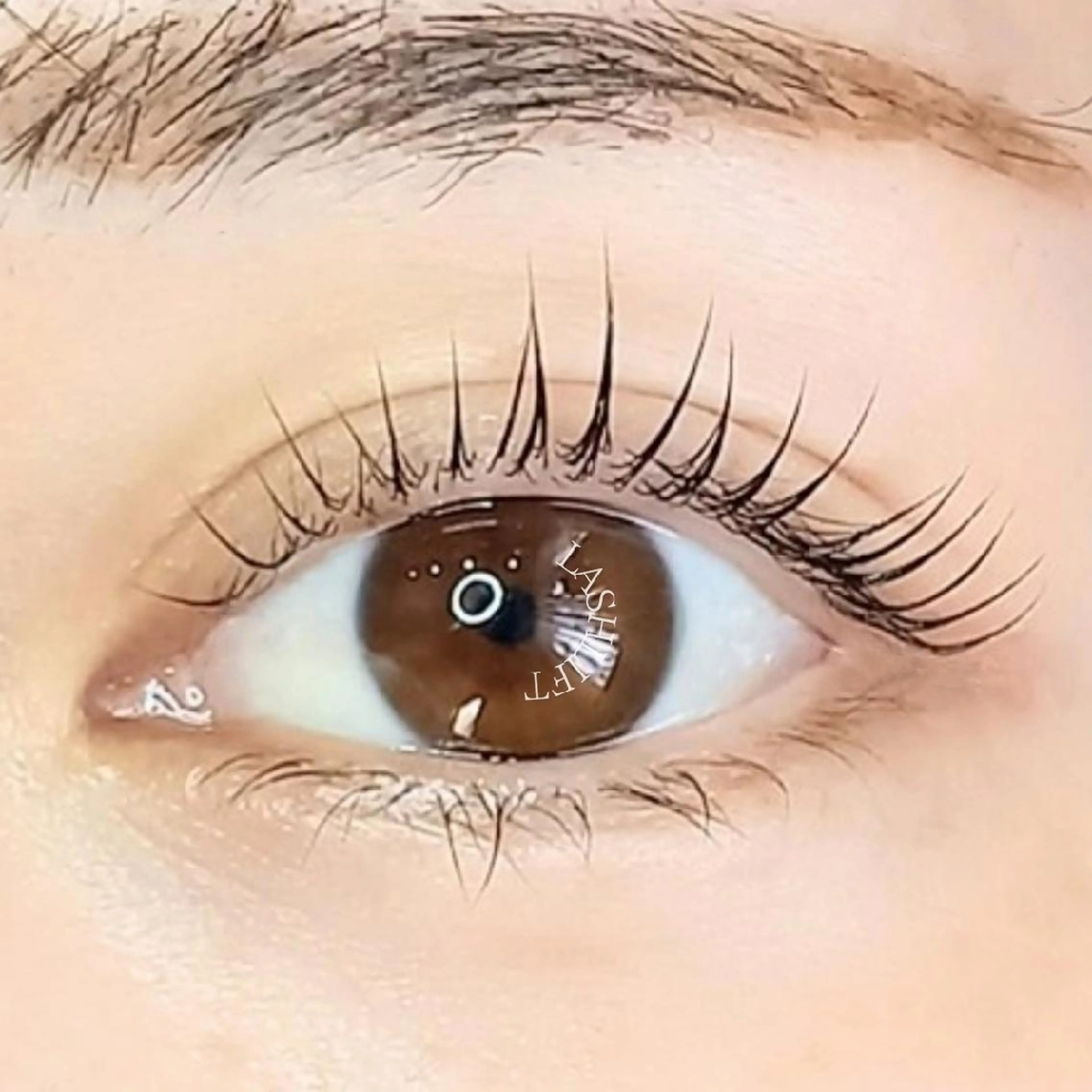 マツエク・マツパ マツパ Private eyelashsalon meer所属・meer  (メーア)のマツエク・マツパデザイン