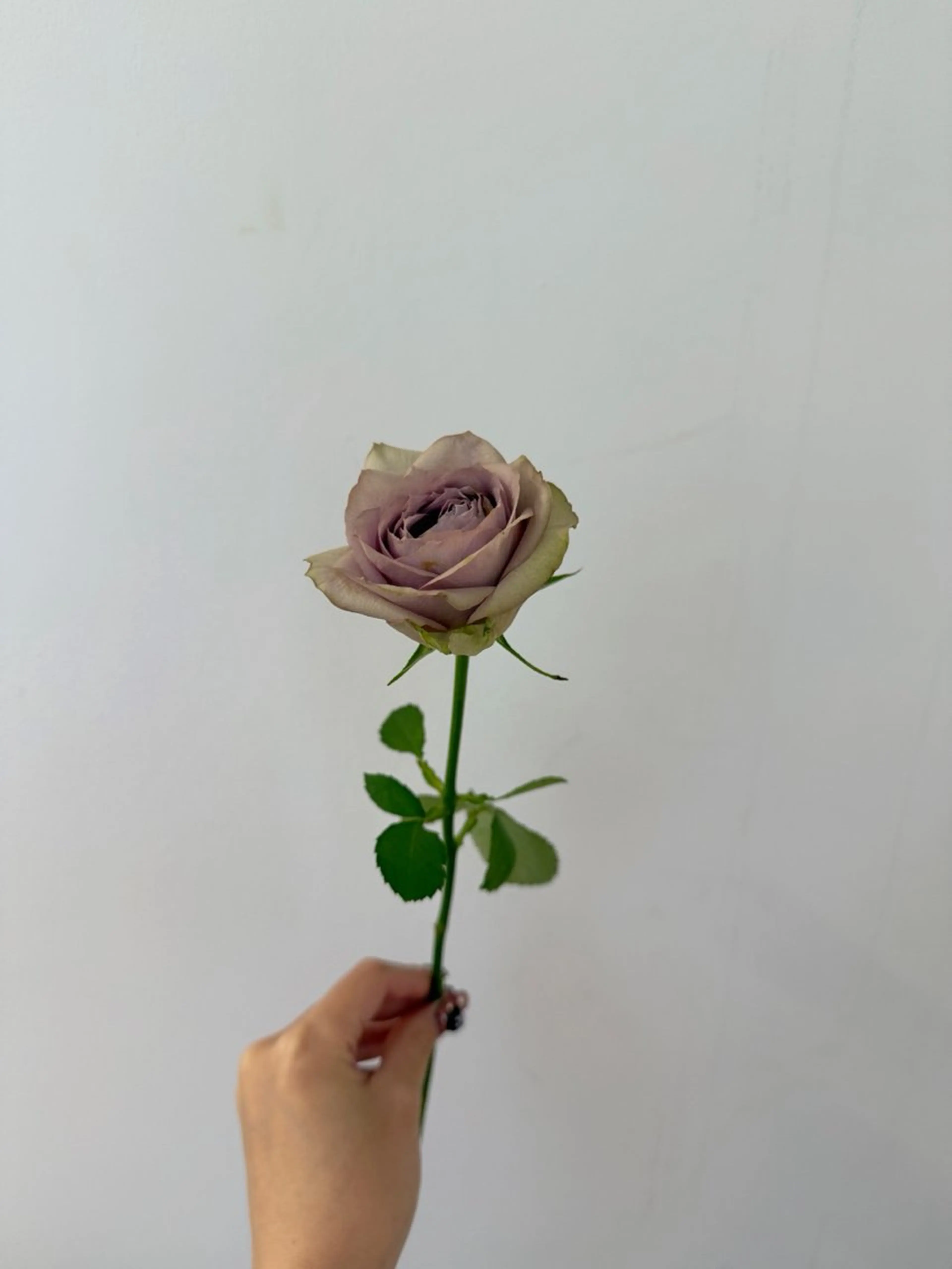 ヘアカラー トリートメント 🌻花屋併設🌻濱 幸帆のヘアスタイル