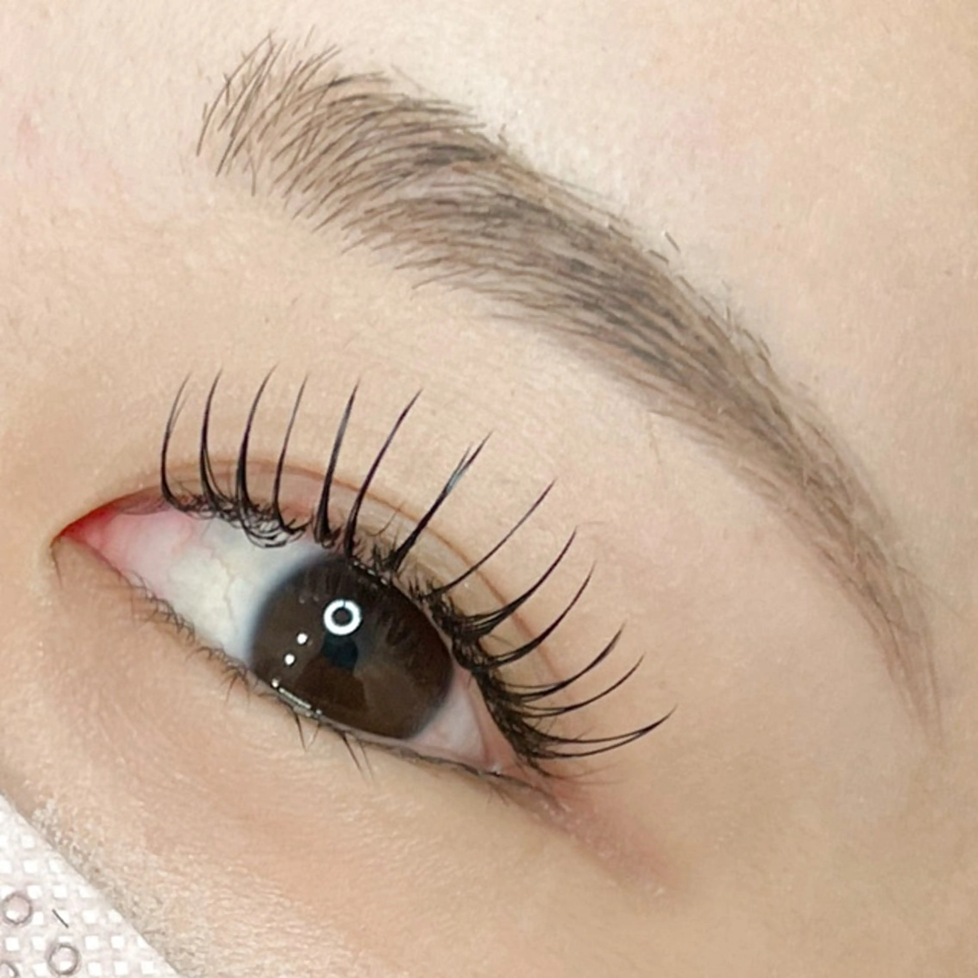 12月限定‼️🎅🎄まつ毛パーマ🤍アイシャンプー、高濃度ケラチン付き✨の写真