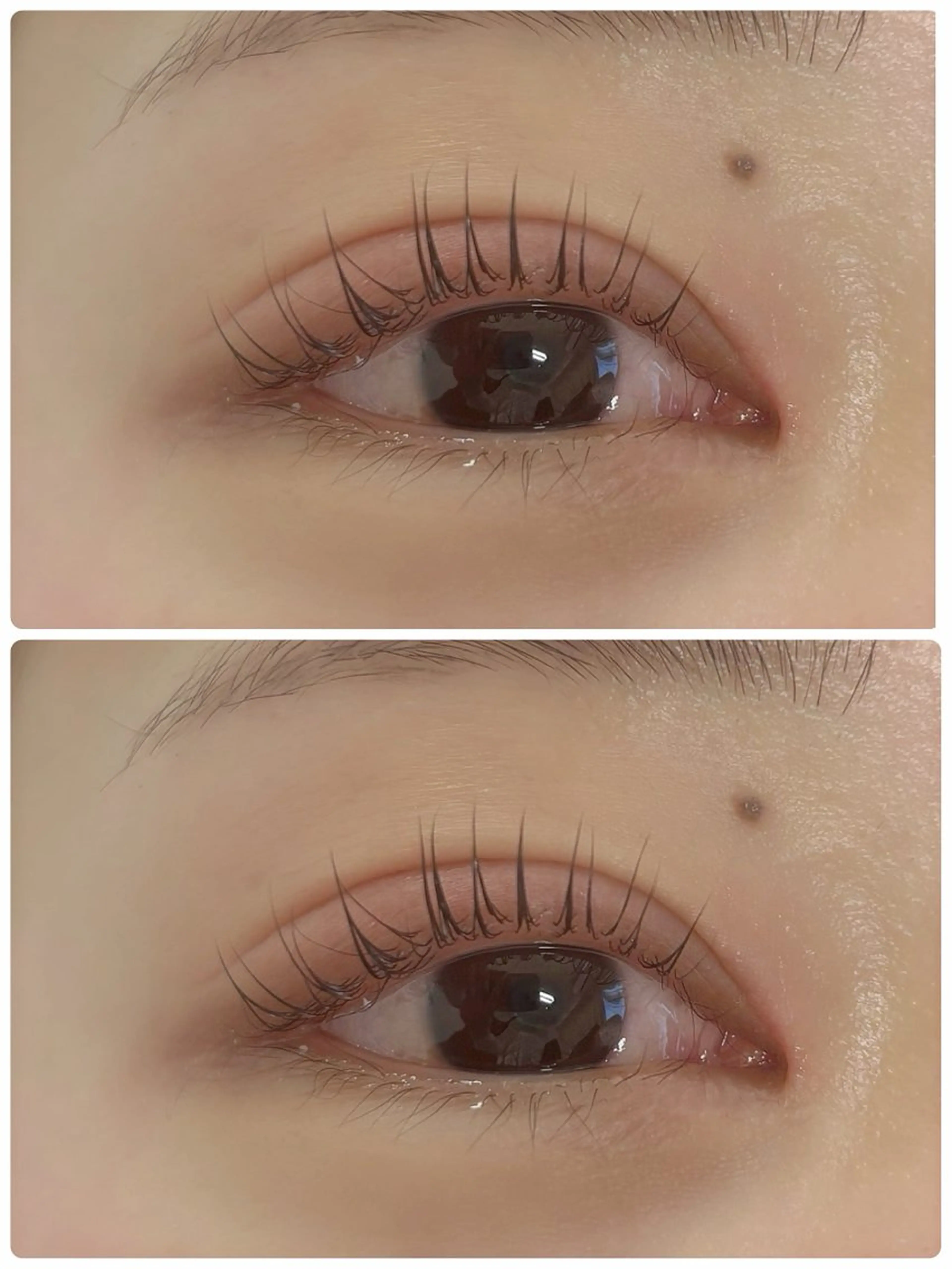 マツエク・マツパ eyelist 💙asakaの眉毛・アイブロウイメージ