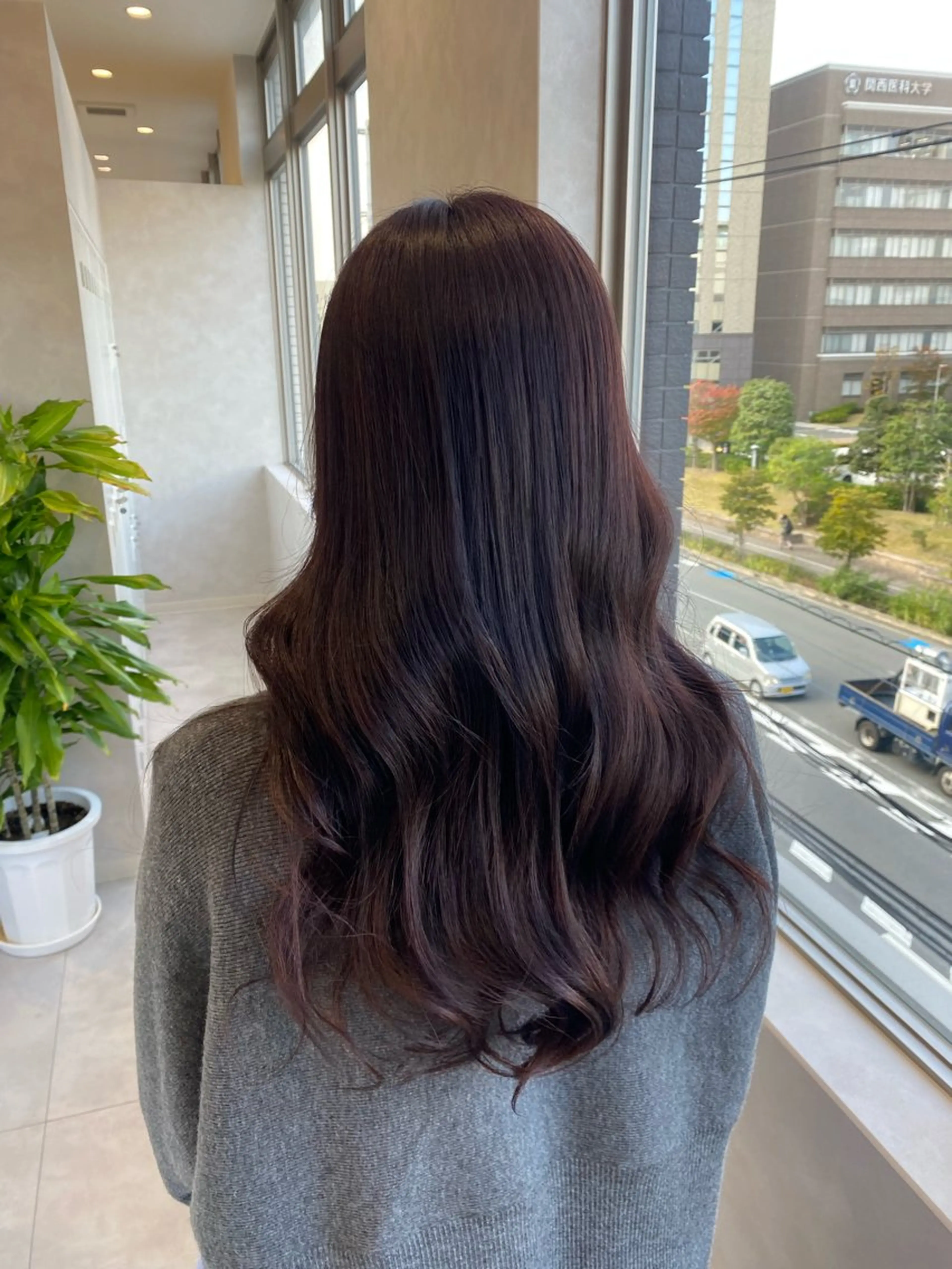 ロング カラー カシス ラベンダーカラー 韓国風ヘア ヘアカラー 韓国ヘア・カラー 🩵SHIZUKUのヘアスタイル