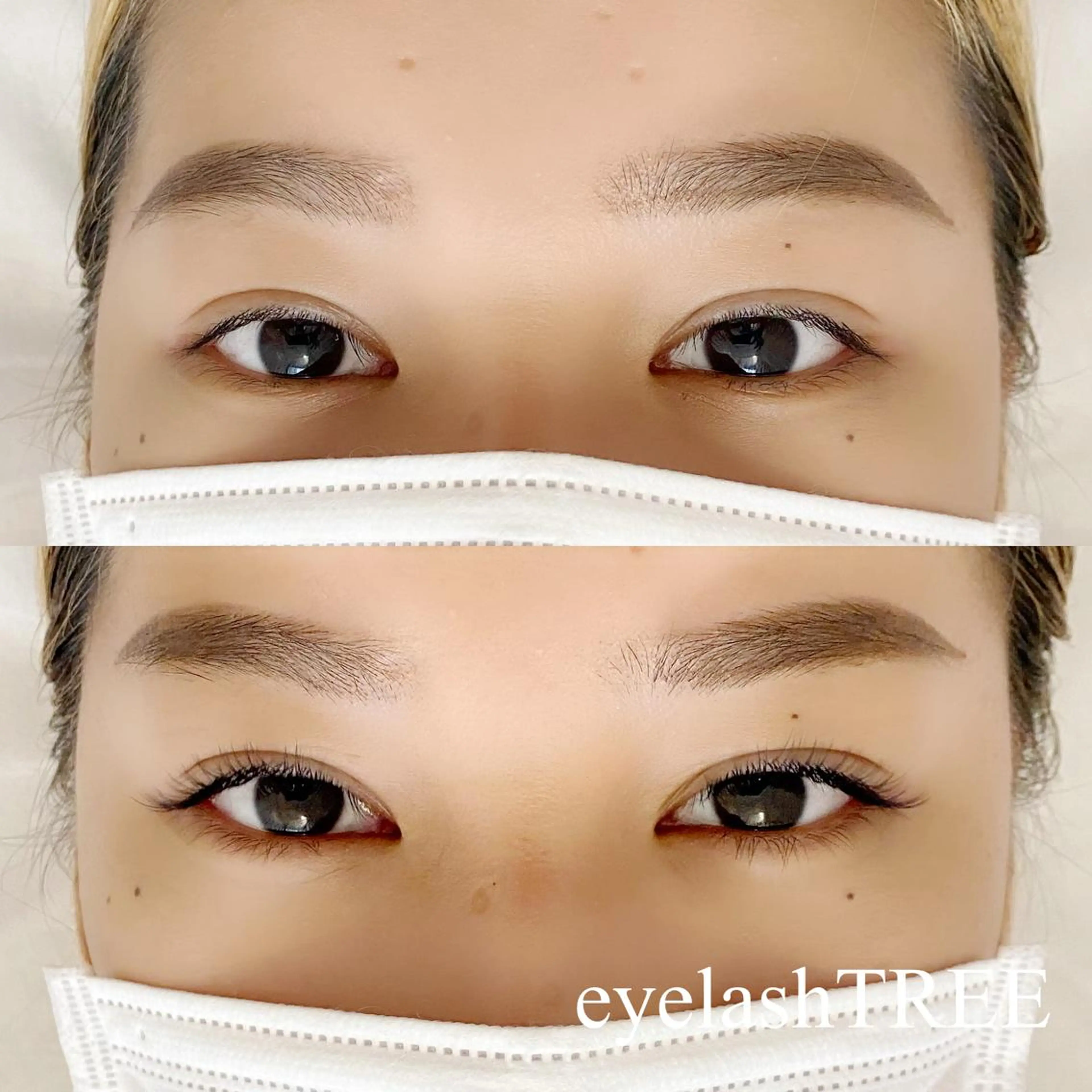 マツエク・マツパ まつげ、毛穴 TREEのエステ・リラクイメージ