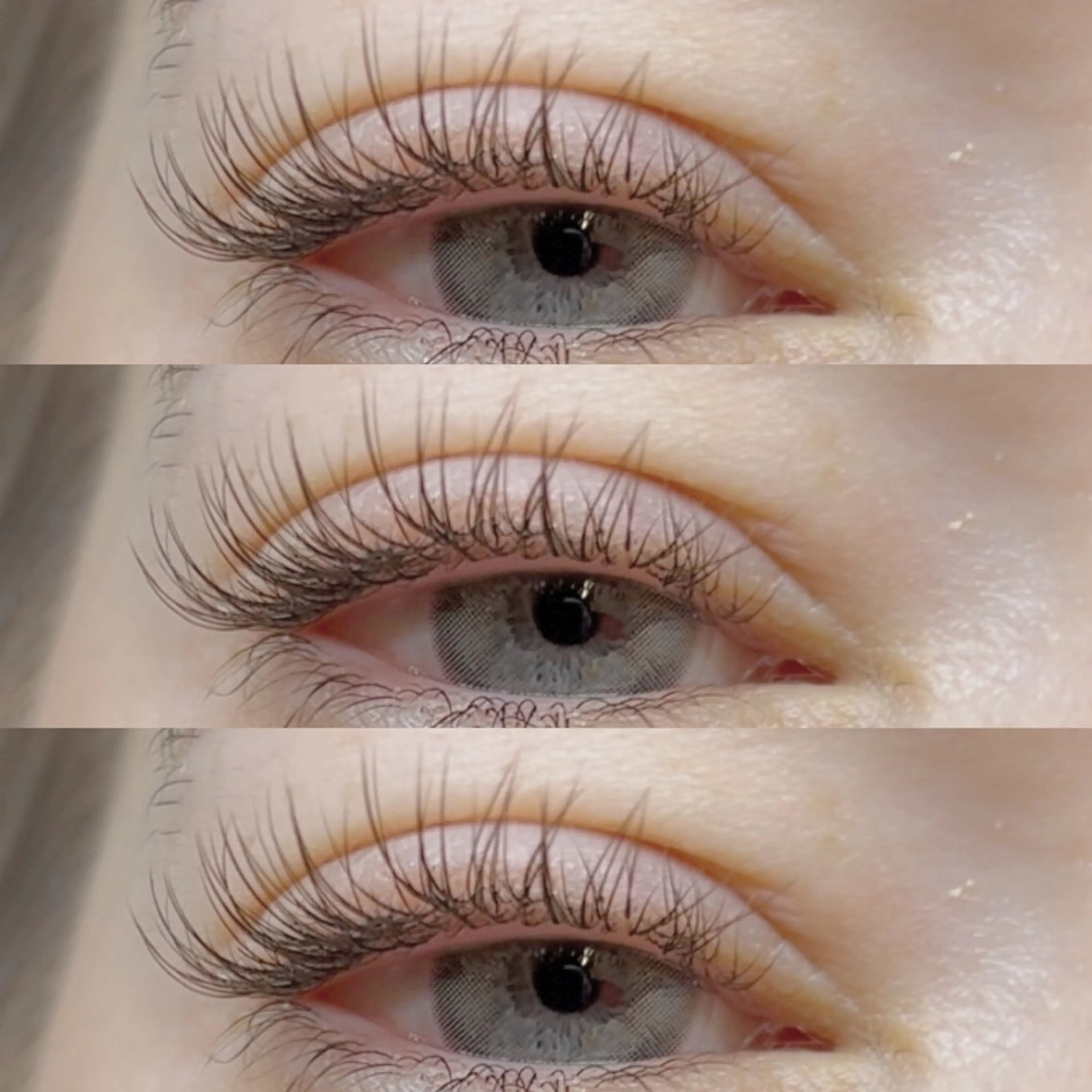 マツエク・マツパ カルフールノア大船店所属・カルフールノア大船/ Ririの眉毛・アイブロウイメージ