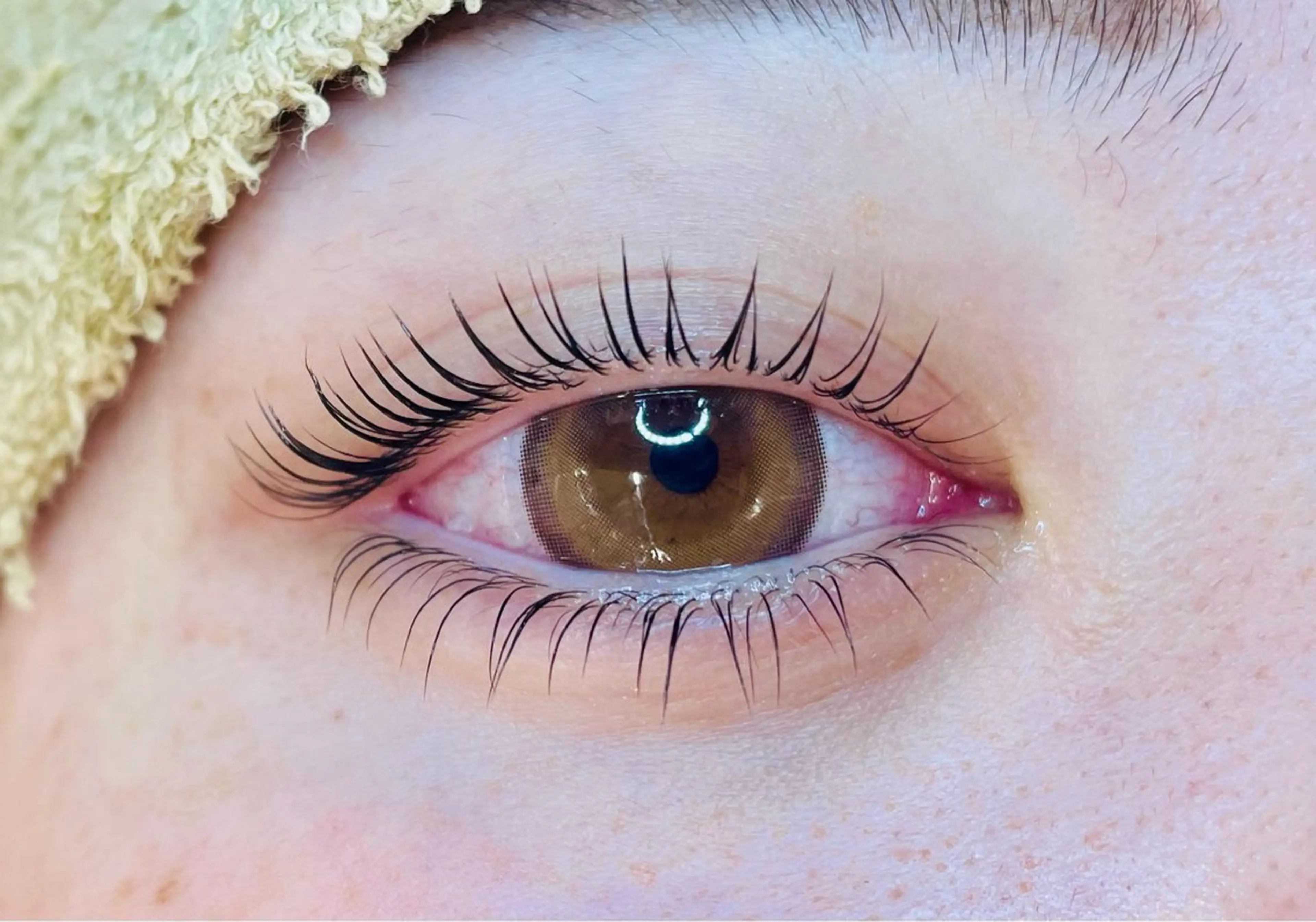 マツエク・マツパ Dカール 下まつげエクステ 一重×まつ毛パーマ 🌼AI 🌼の眉毛・アイブロウイメージ