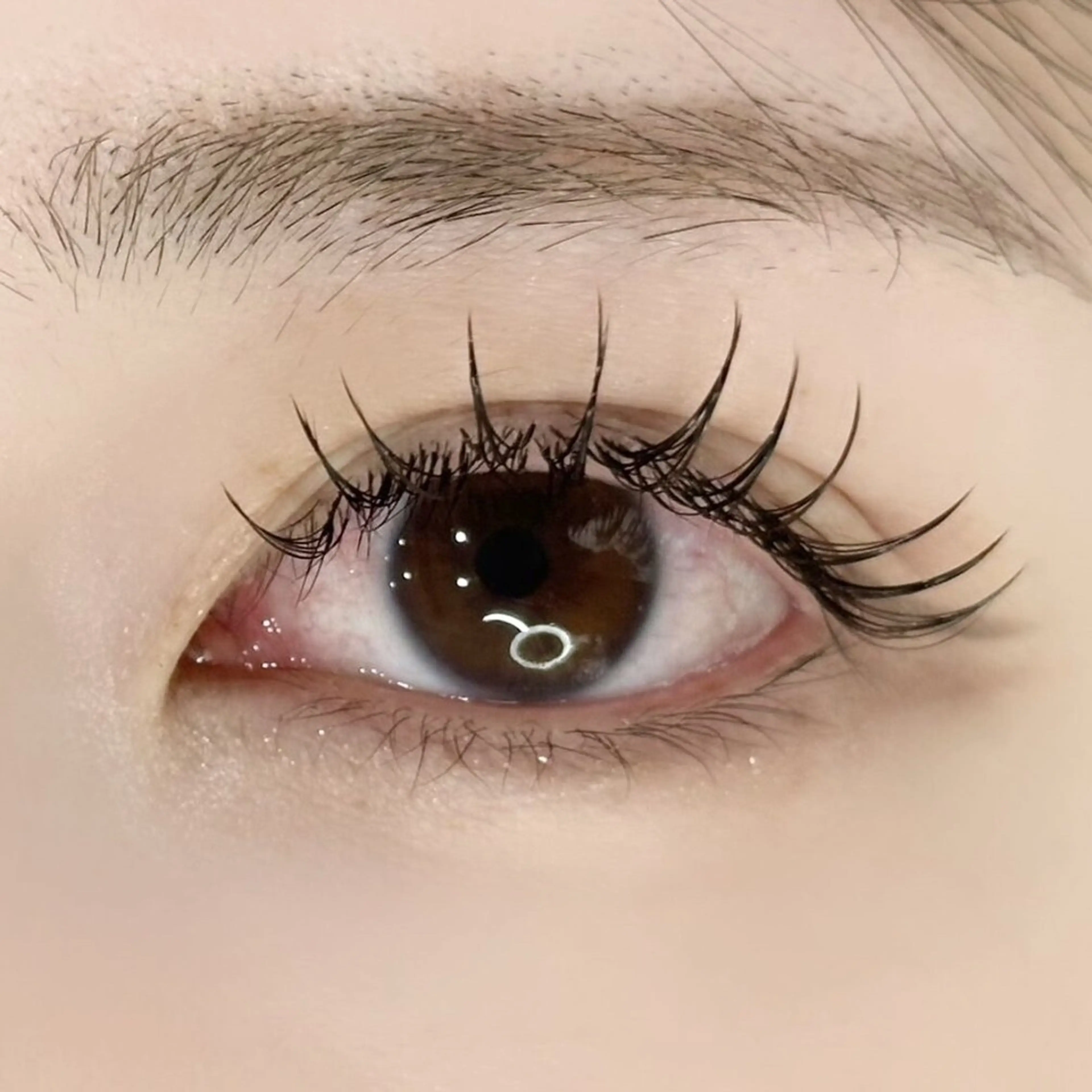 カラー変更無料❣️ナチュラル韓国風🤎マツエク100本の写真