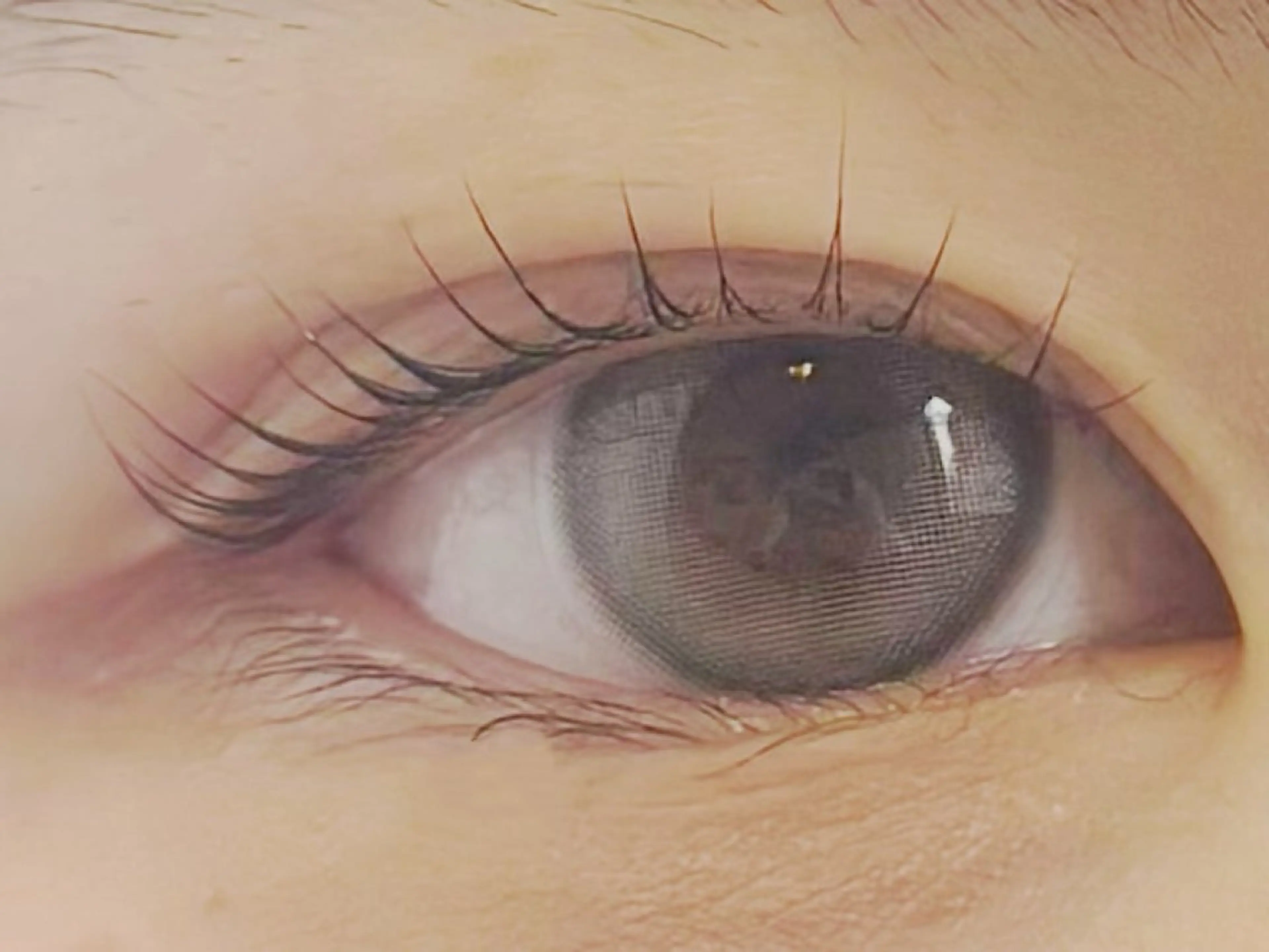 マツエク・マツパ ArisLy仙台長町店所属・ArisLy長町 Tannoのマツエク・マツパデザイン