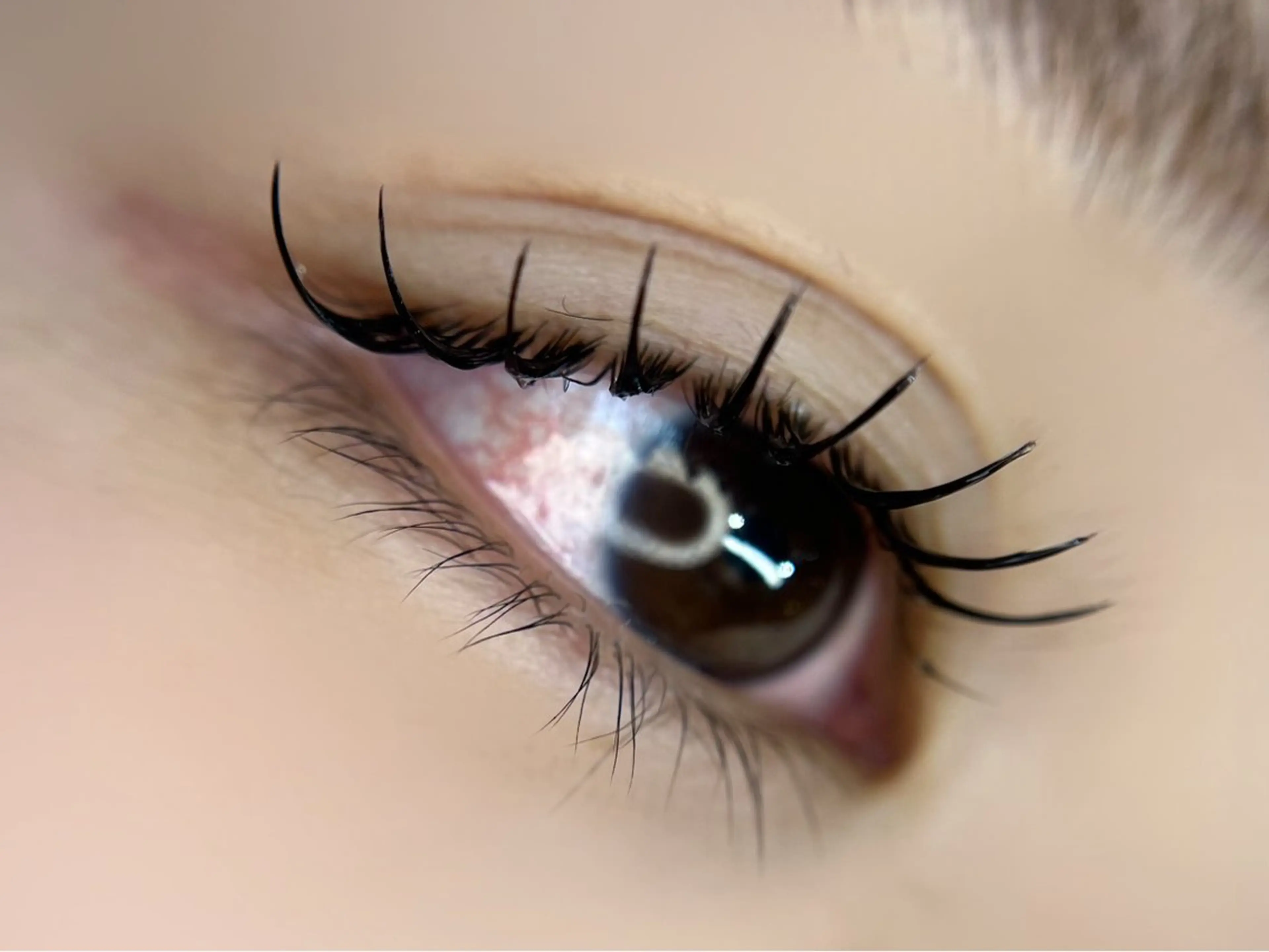 マツエク・マツパ マツエク Lau【ラウ】所属・Lau【ラウ】 ⁂NaNaのマツエク・マツパデザイン