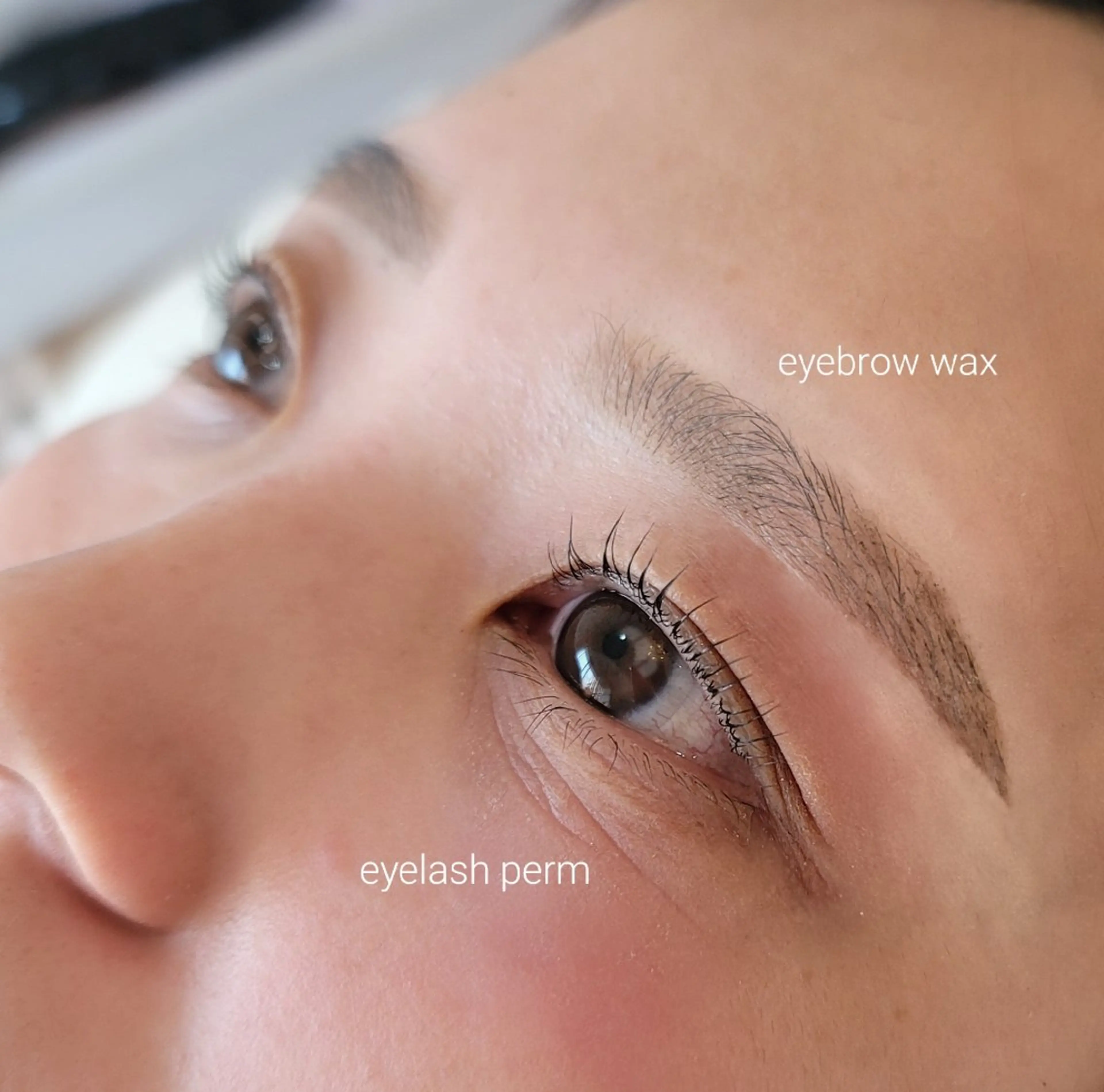 骨格アイブロウwaxの写真