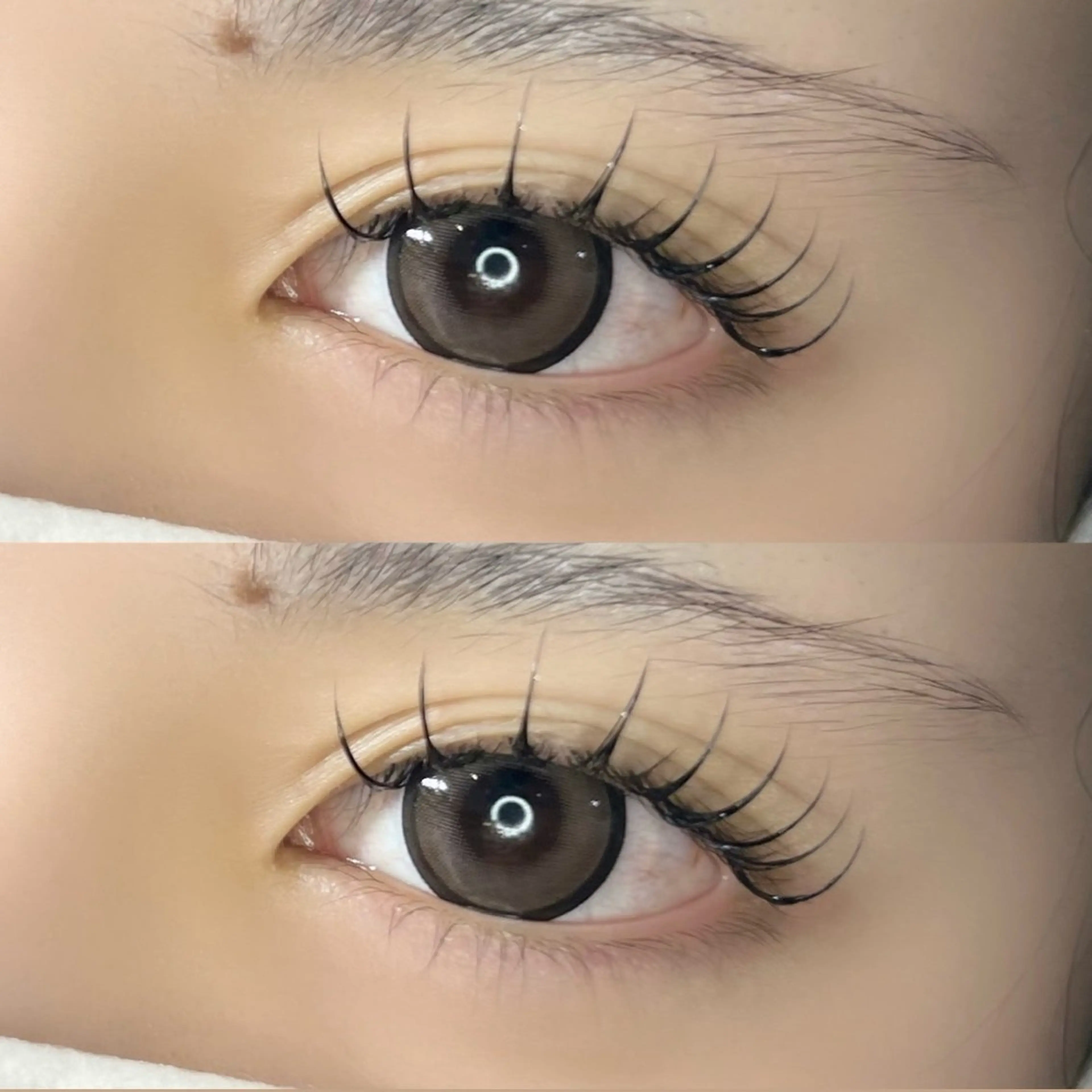 【🫧12月限定🫧】フラットラッシュ100本➕コーティング込の写真