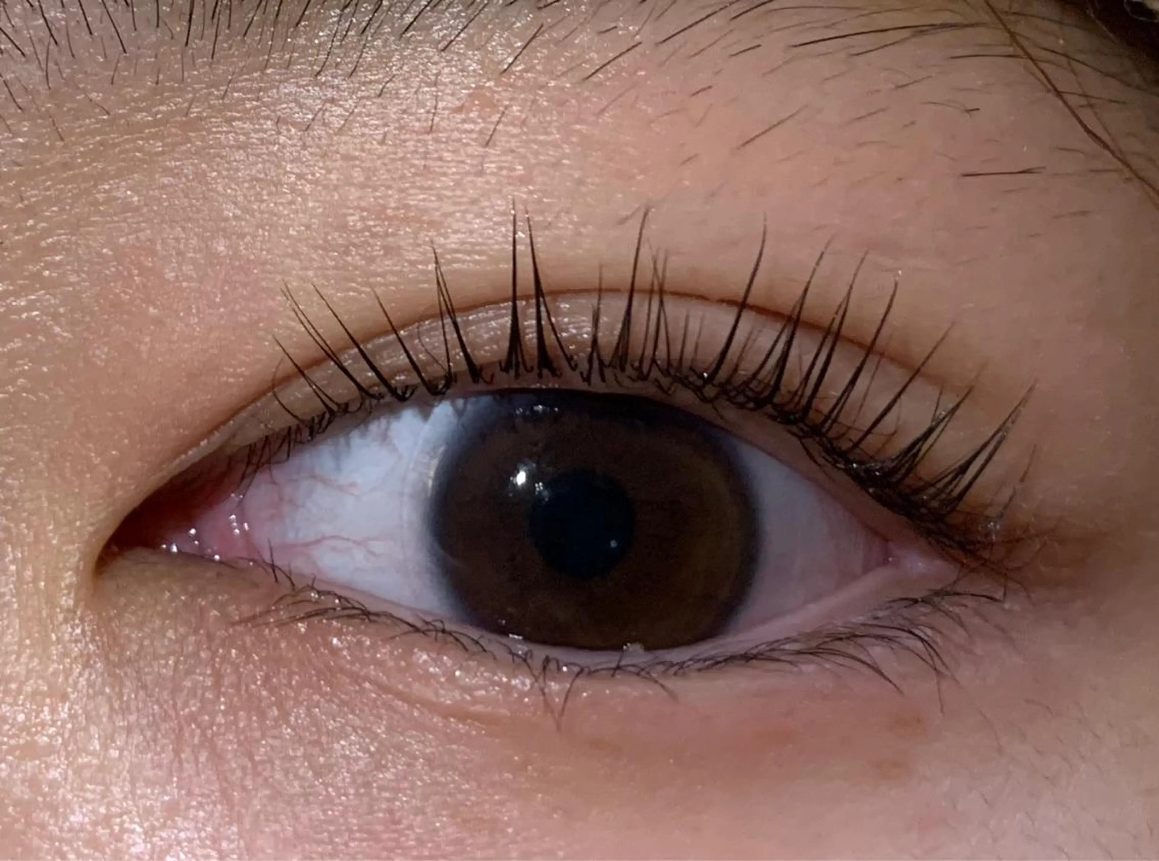 マツエク・マツパ RiciL リシルのエステ・リラクイメージ