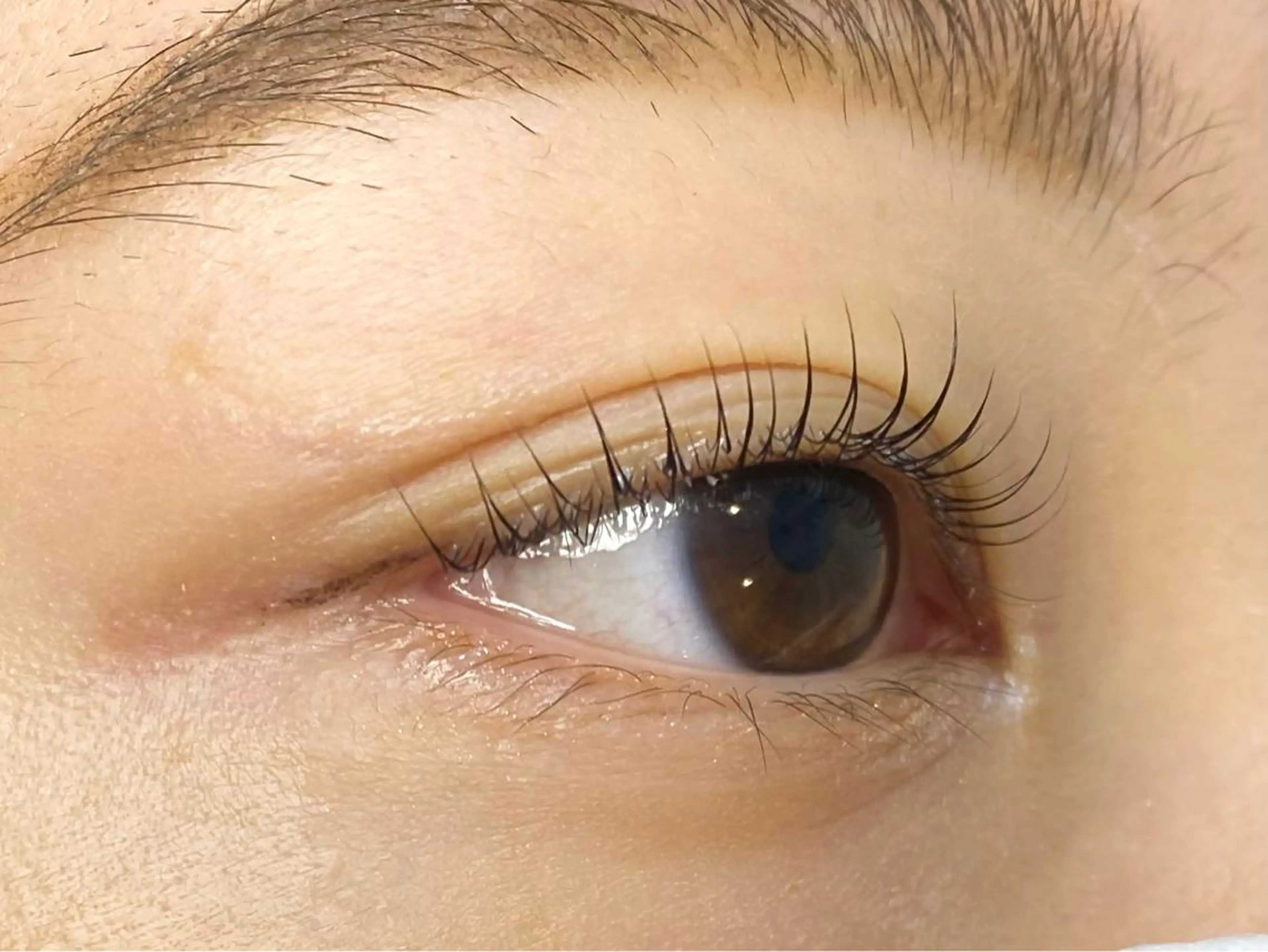 マツエク・マツパ マツパ Chisato🤍池 袋/マツパ/マツエクのマツエク・マツパデザイン