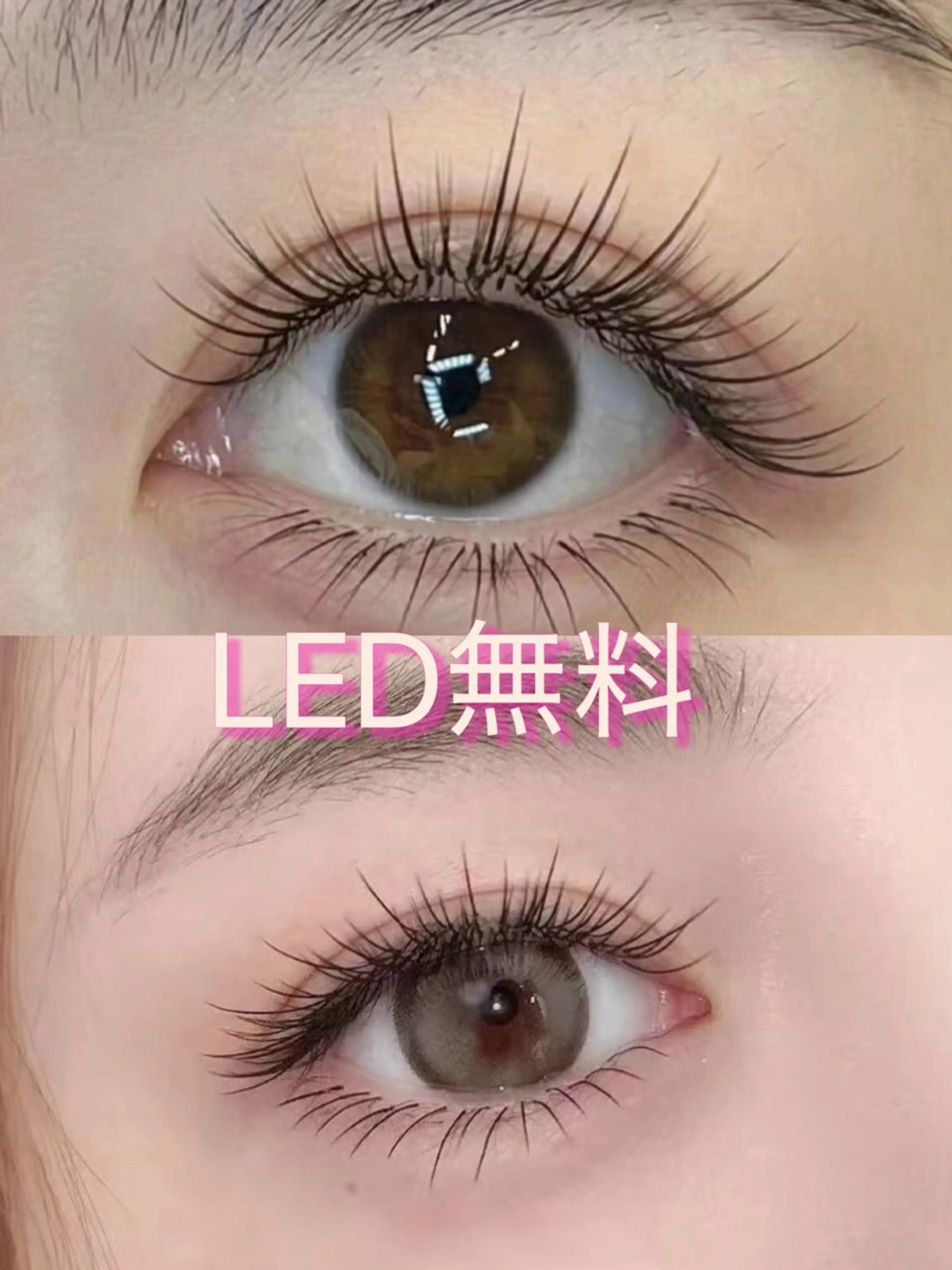 【ワンホンフラットラッシュ】　140本の写真