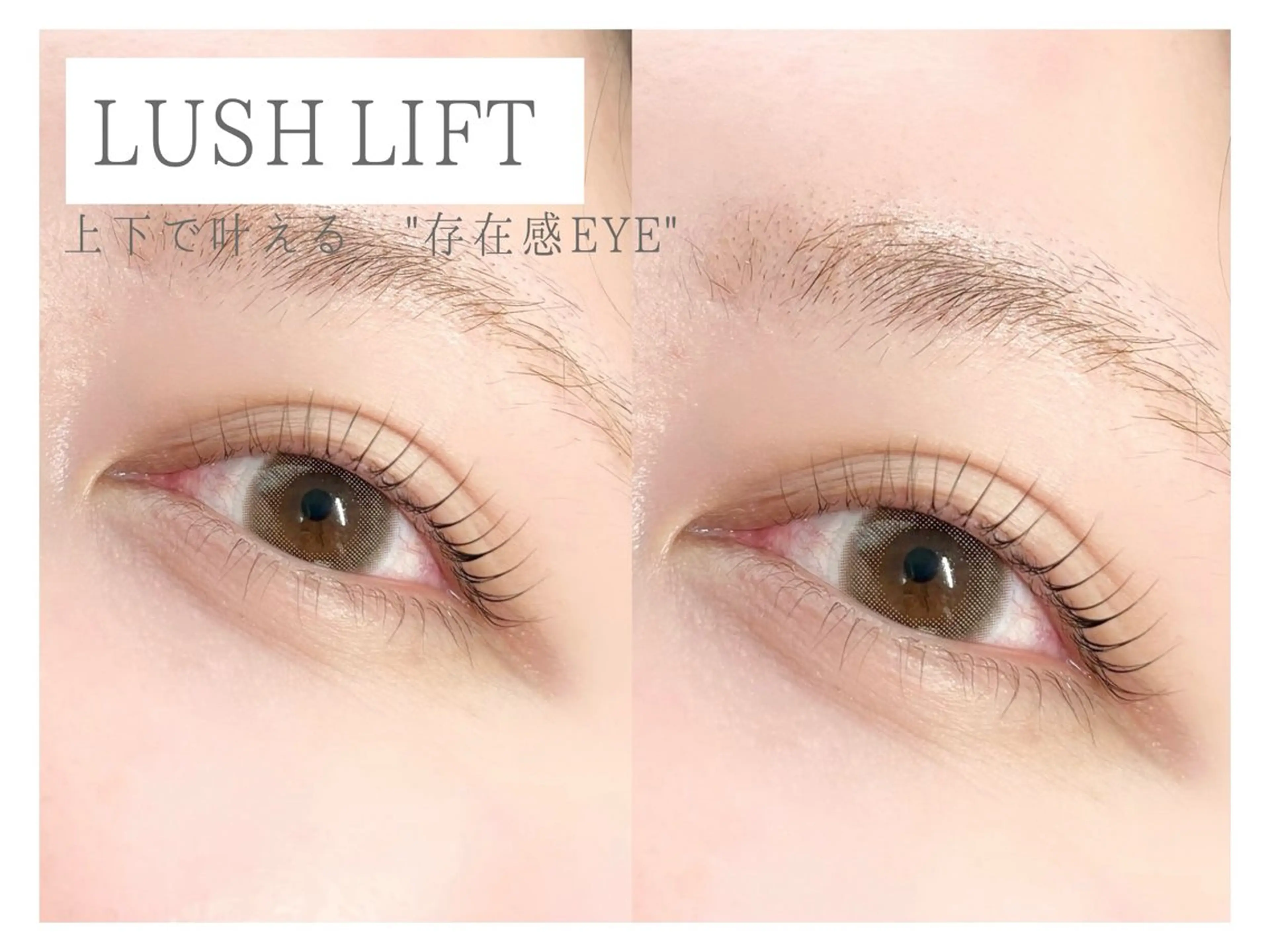 上下まつげパーマ／アイシャンプー込みの写真