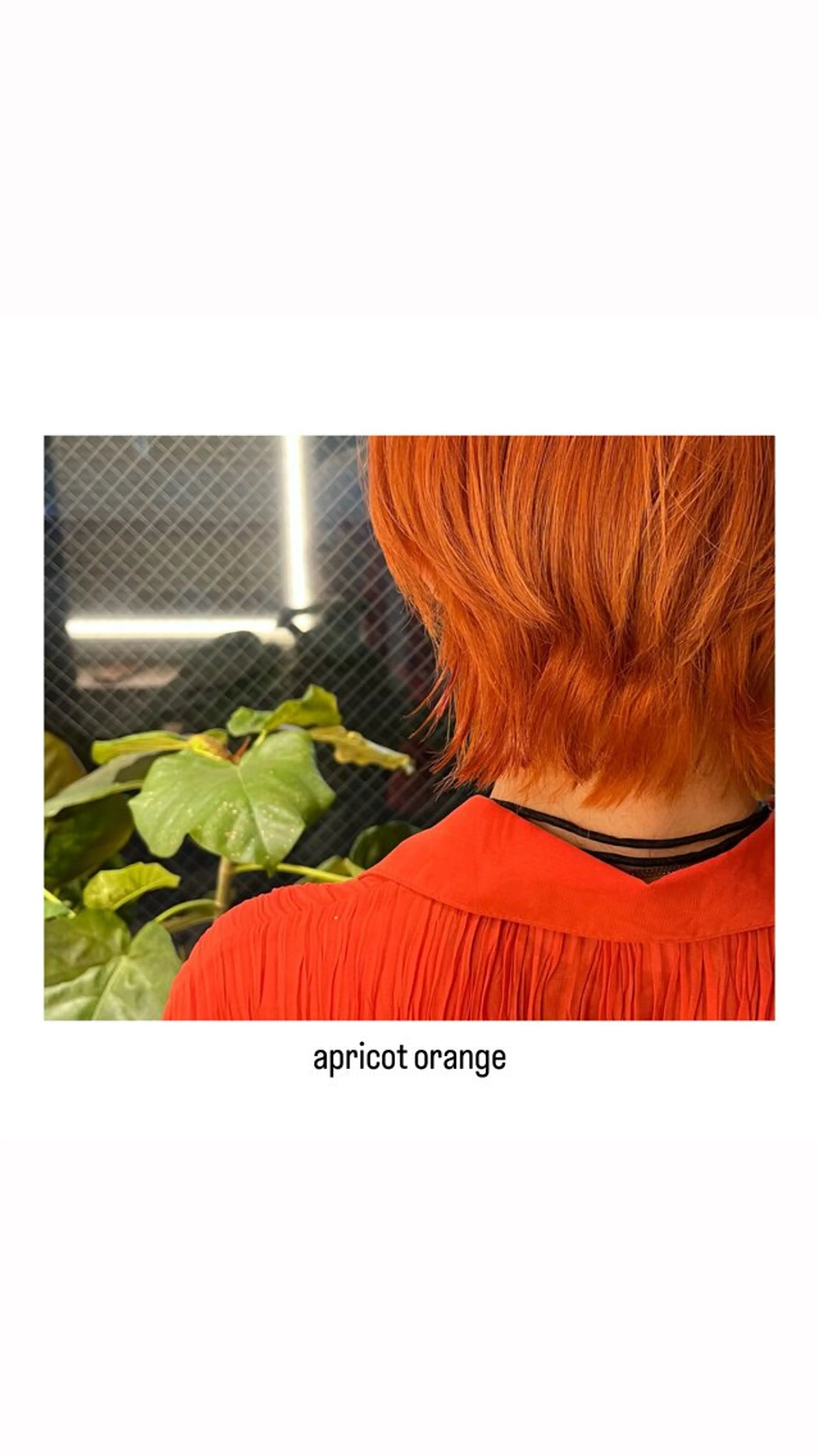 ショート カラー オレンジ ヘアカラー トリートメント rewards成城学園前店所属・hiro【沿線で叶う 似合わせhair】のヘアスタイル