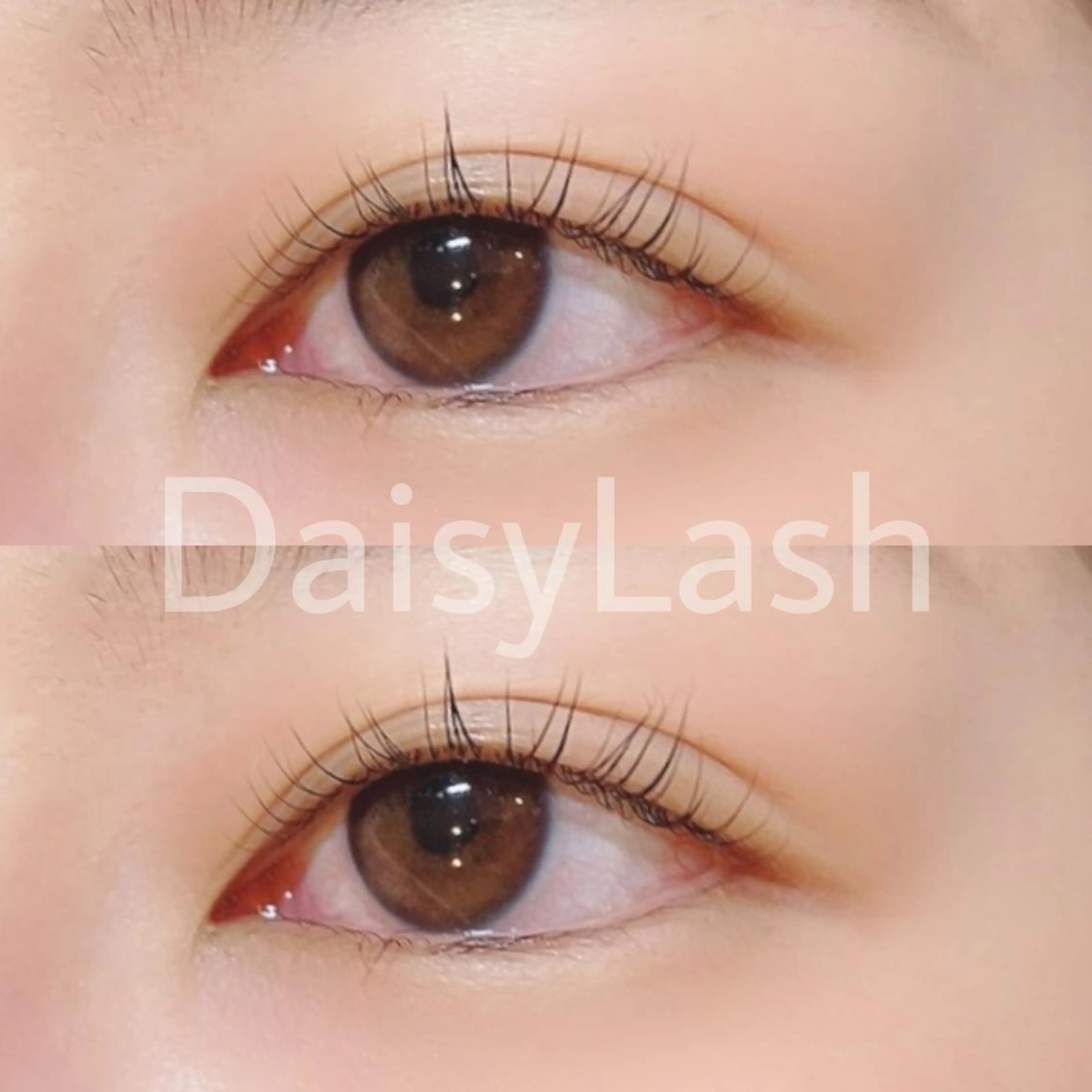 マツエク・マツパ DaisyLash 京橋店のマツエク・マツパデザイン