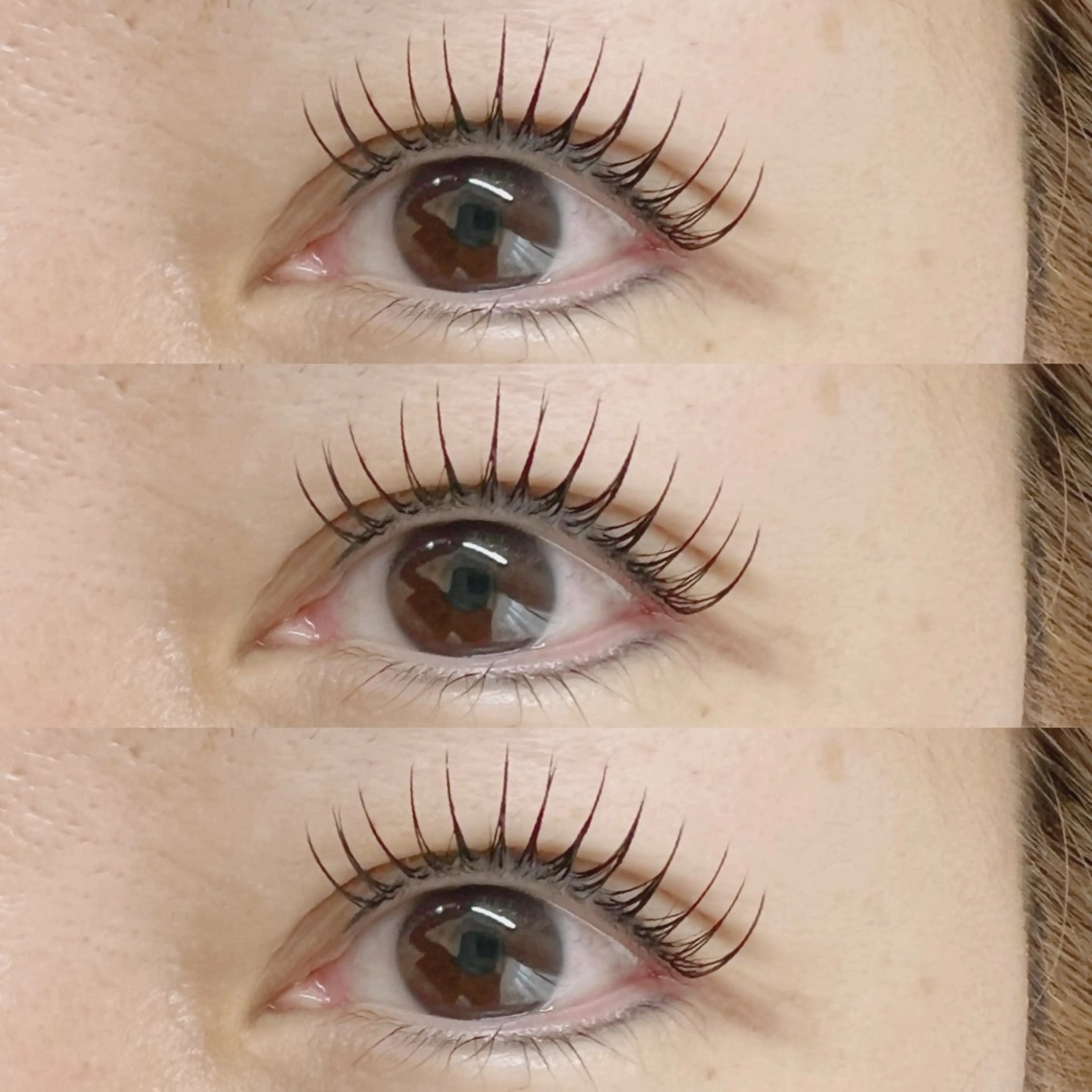 マツエク・マツパ アップワードラッシュ Baby step.のマツエク・マツパデザイン